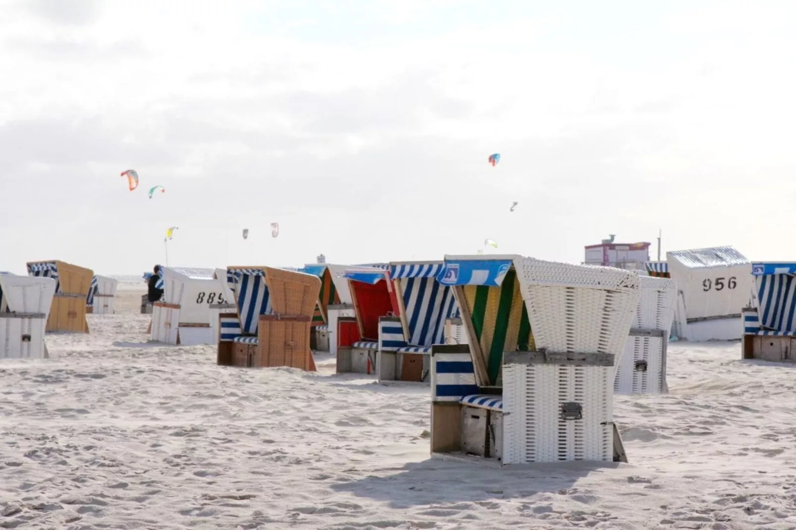 261897-Gebieden zomer 5km