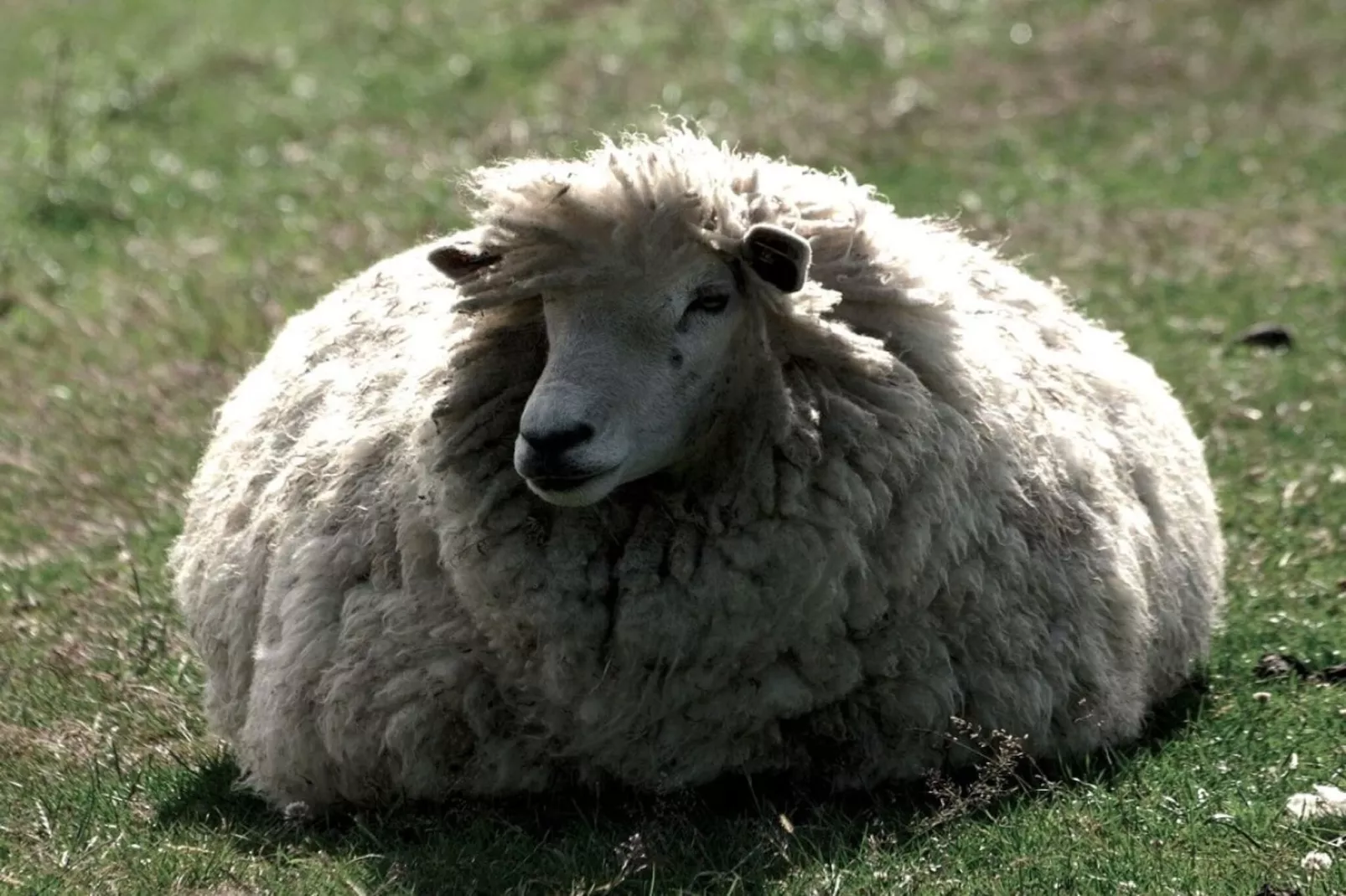 128858-Gebied winter 5km