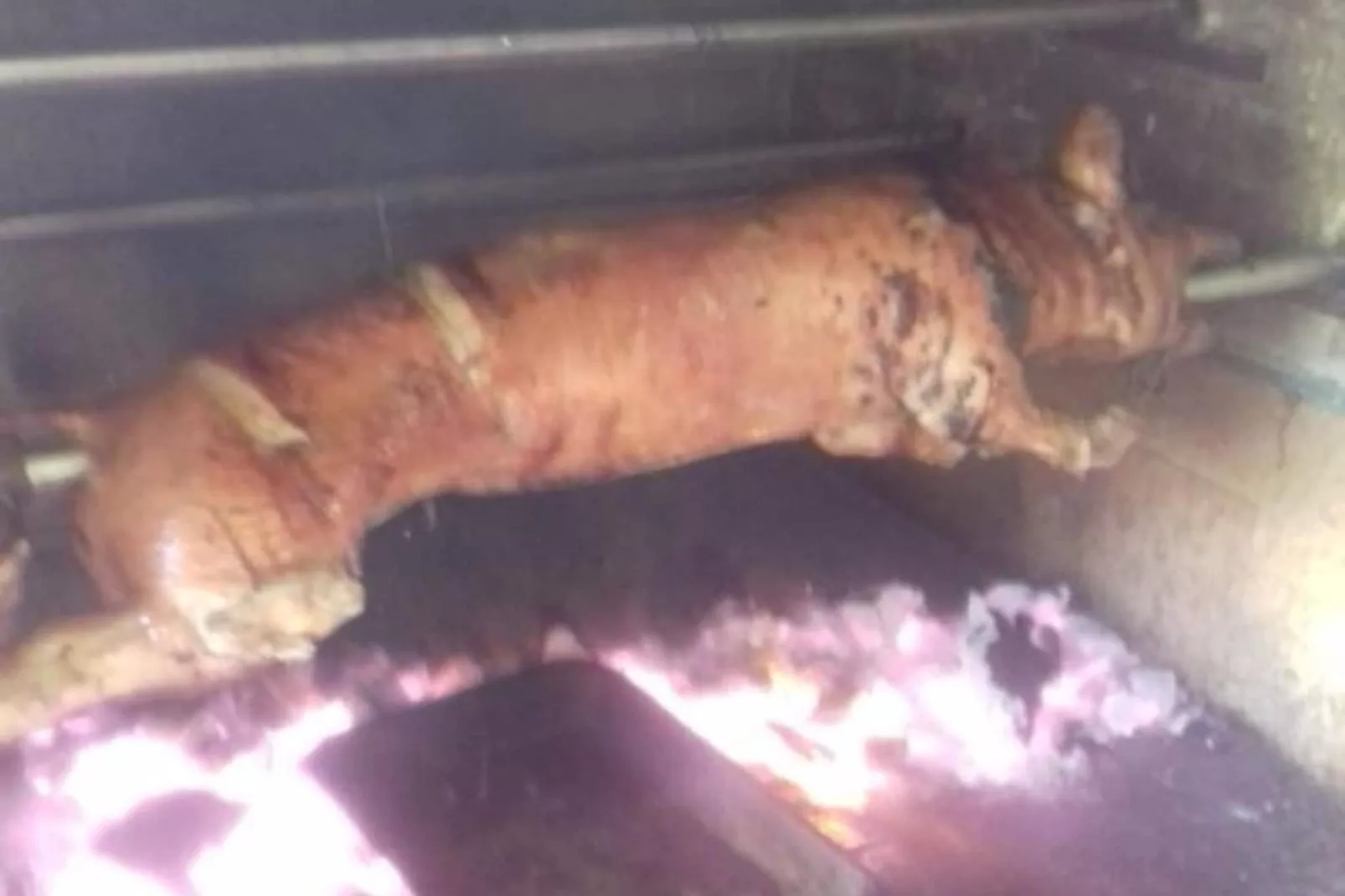 One Bedroom Dream Room (2)-Faciliteiten