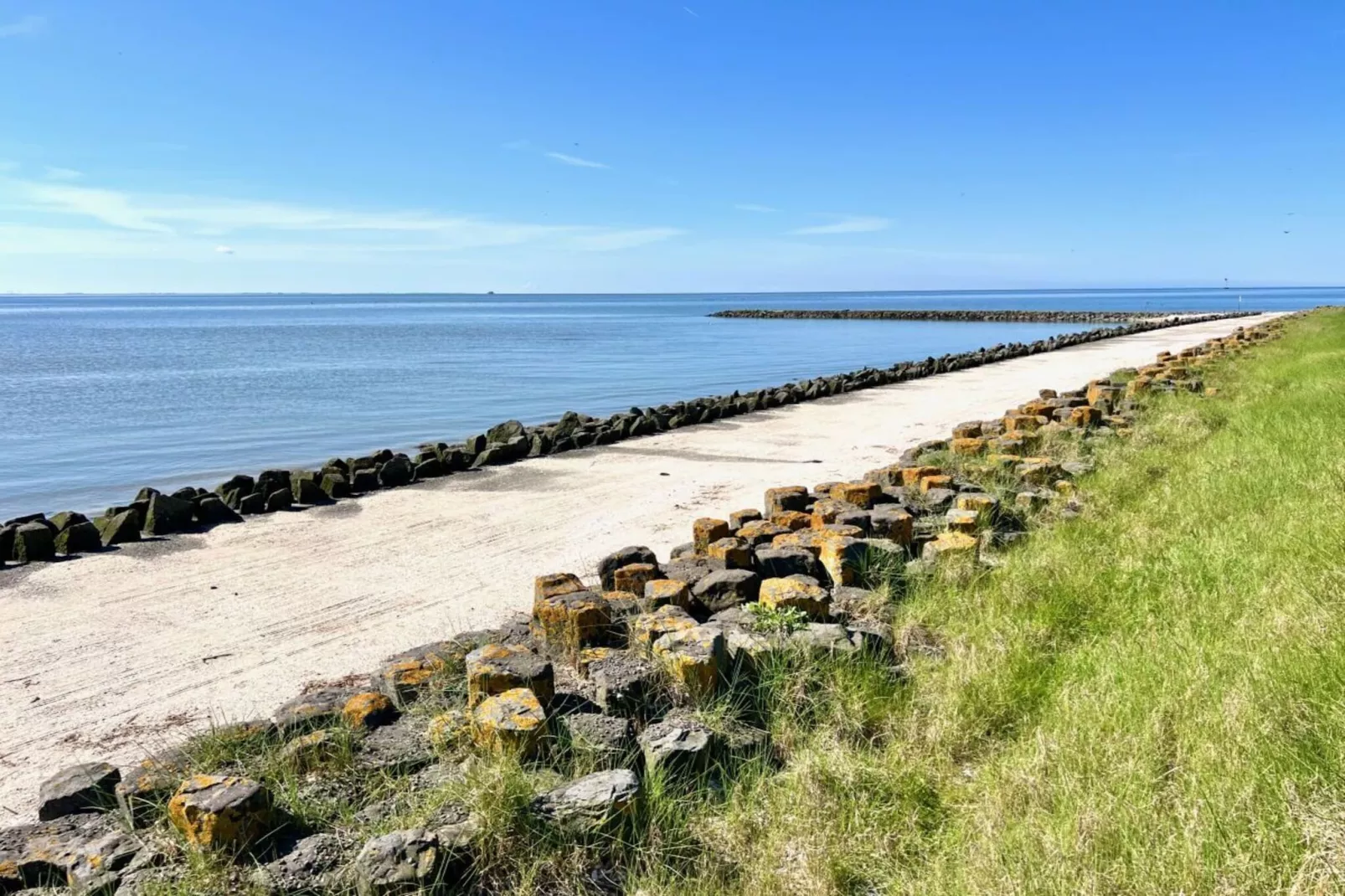 620522 - Gebieden zomer 5km