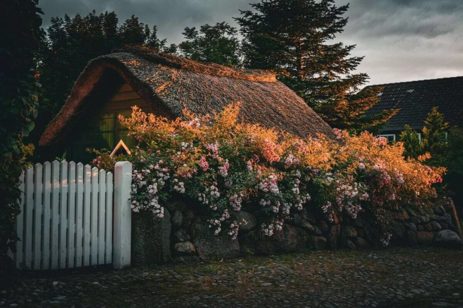 573535 - Buitenkant zomer