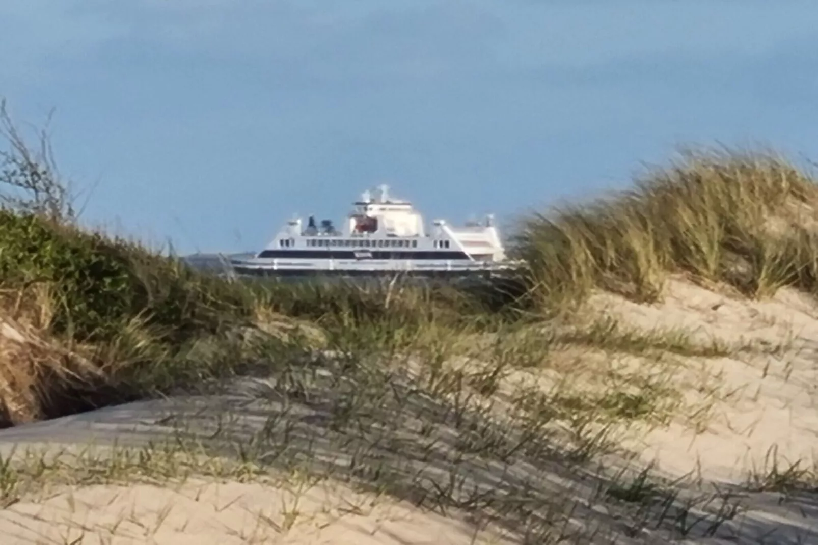 275862-Gebieden zomer 5km