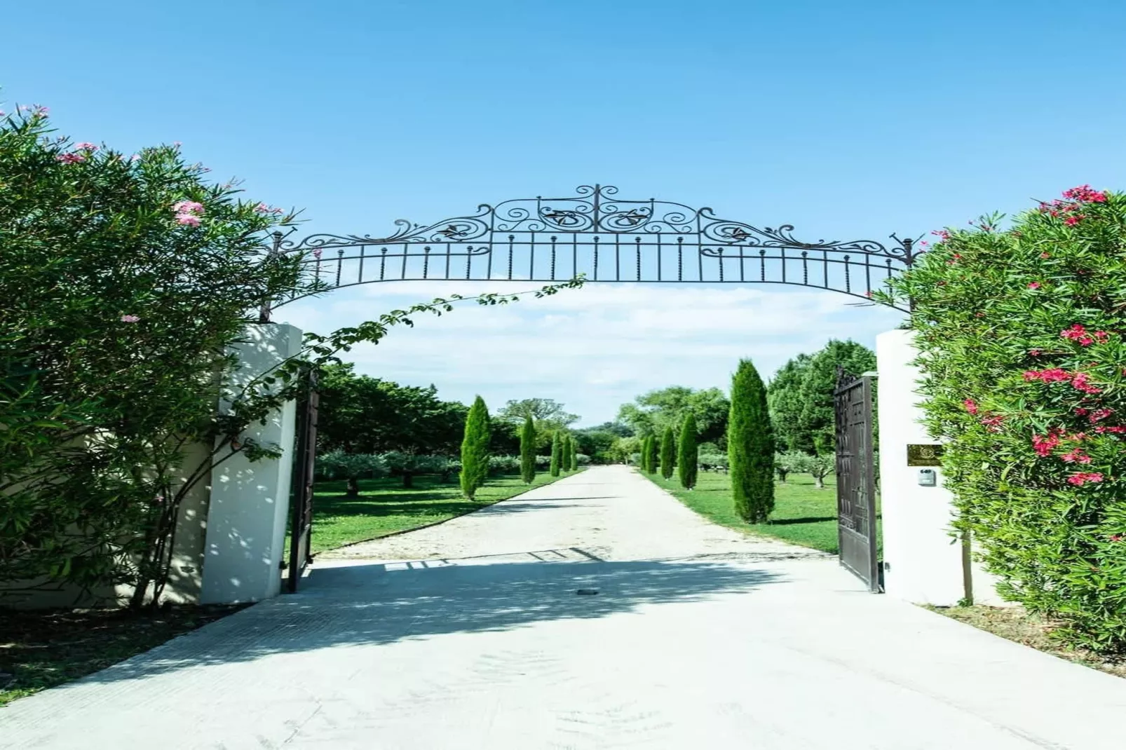 Charmant Mas Provençal avec piscine et jacuzzis-Hal-ontvangst