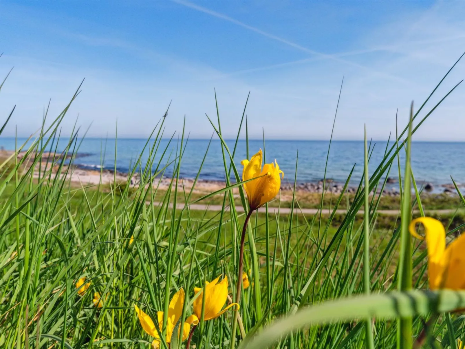 "Juna" - 50m from the sea-Buiten