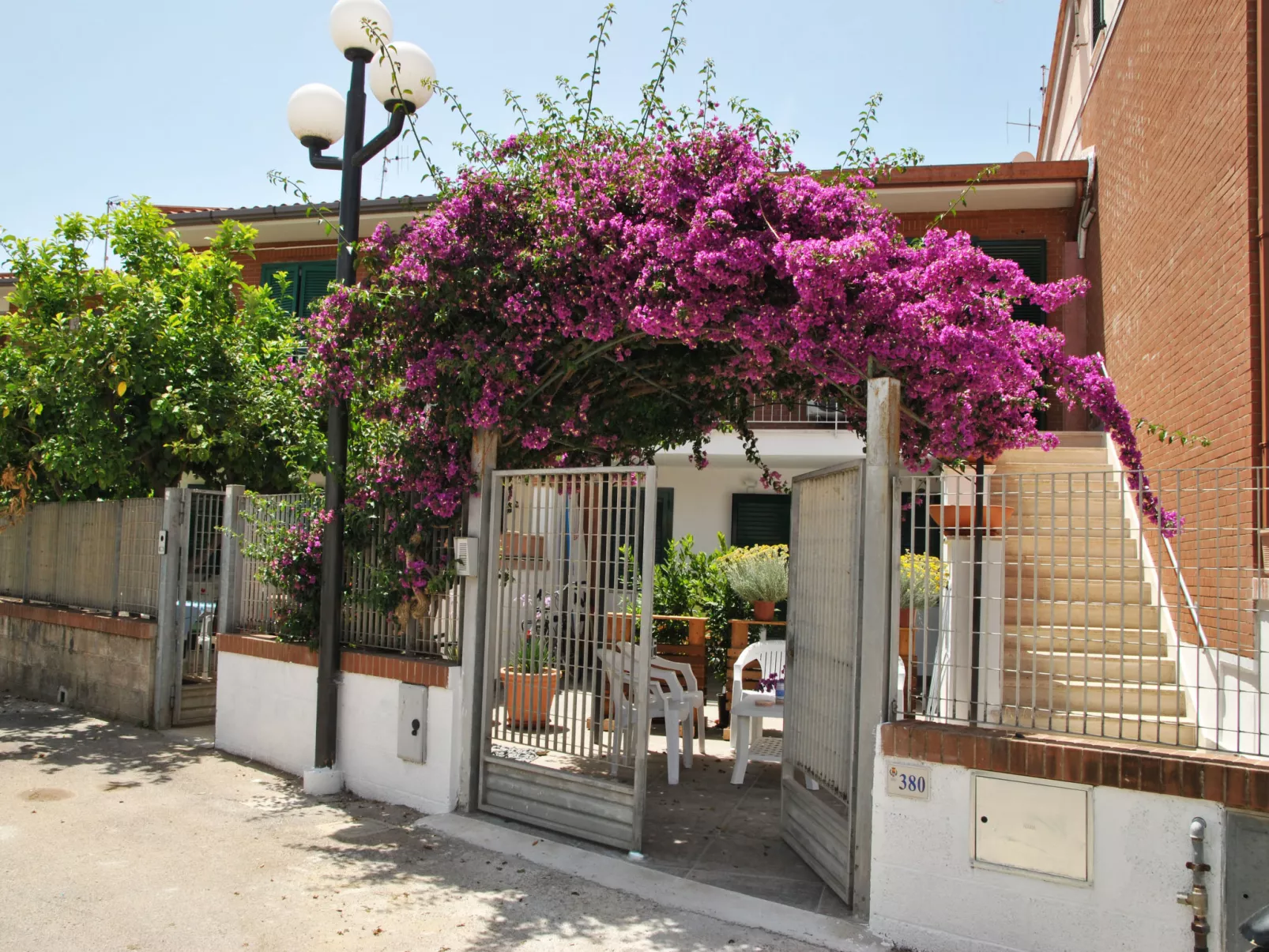 Bouganville - Buiten