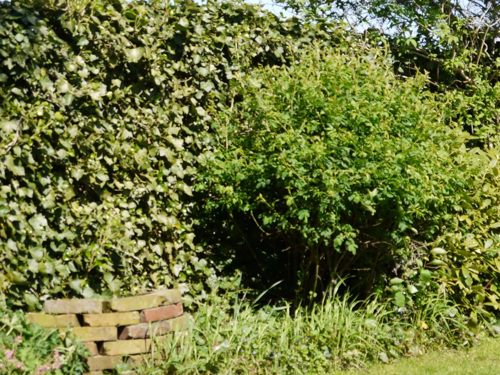 Elbufer - Image-tags.info