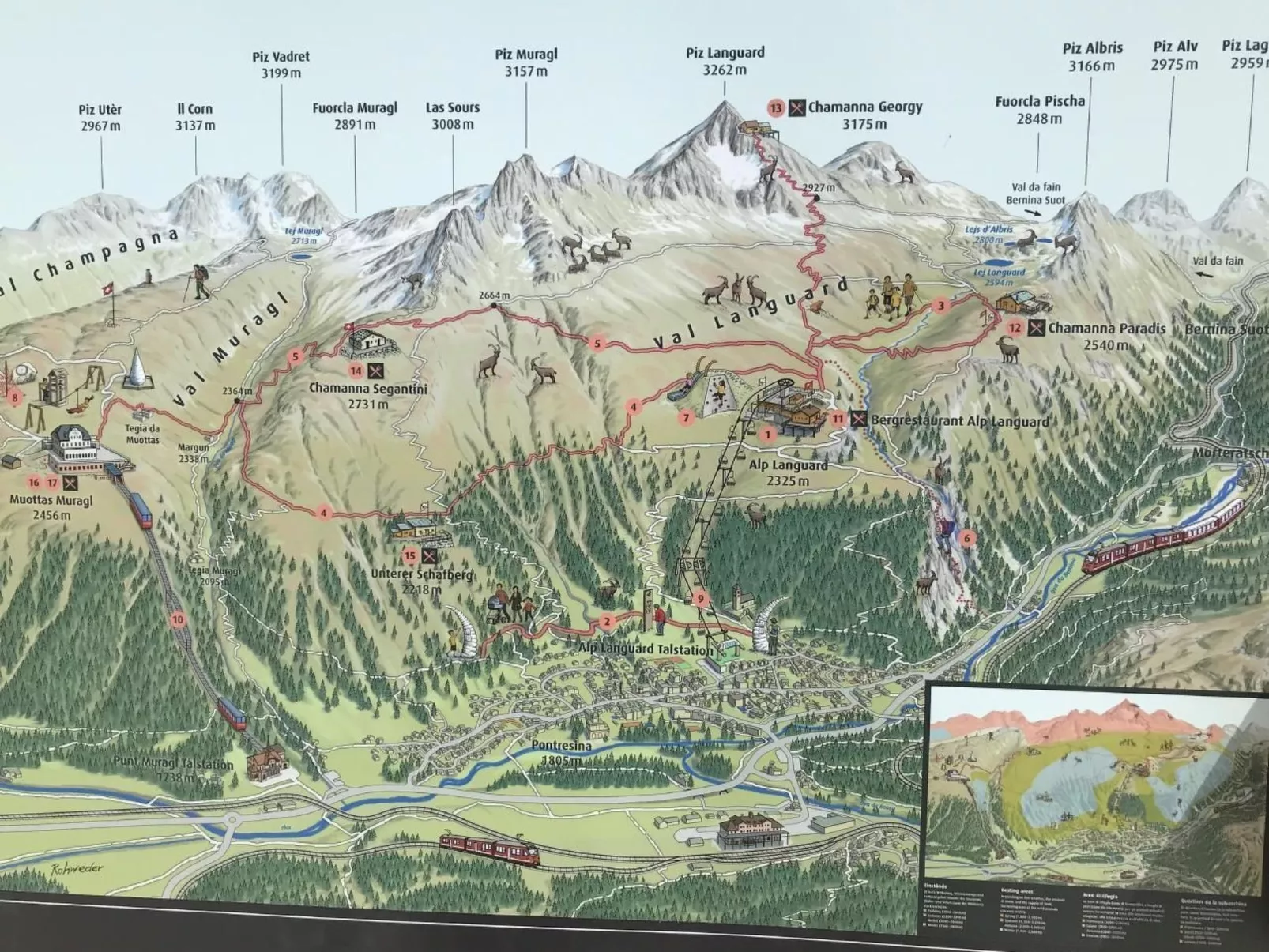 Derby 11 - Image-tags.info