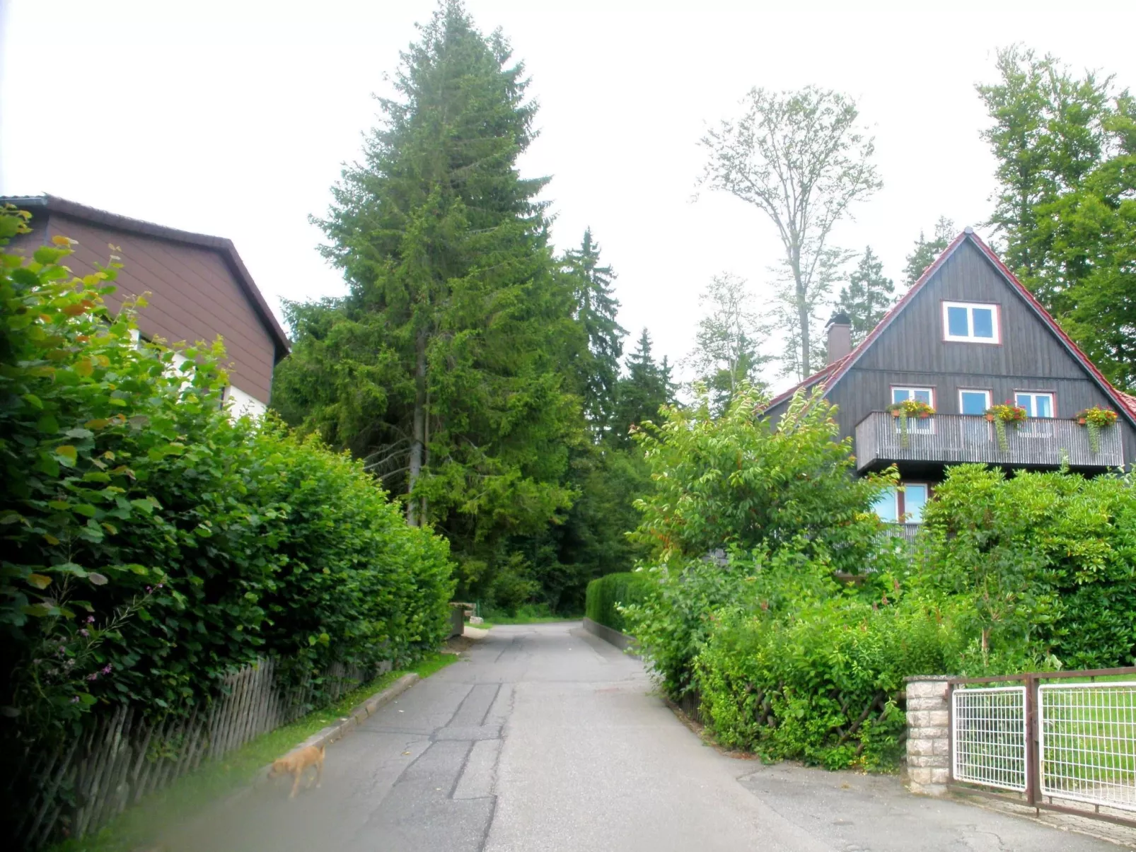 Für zwei Personen, WLAN vorhanden - Image-tags.info