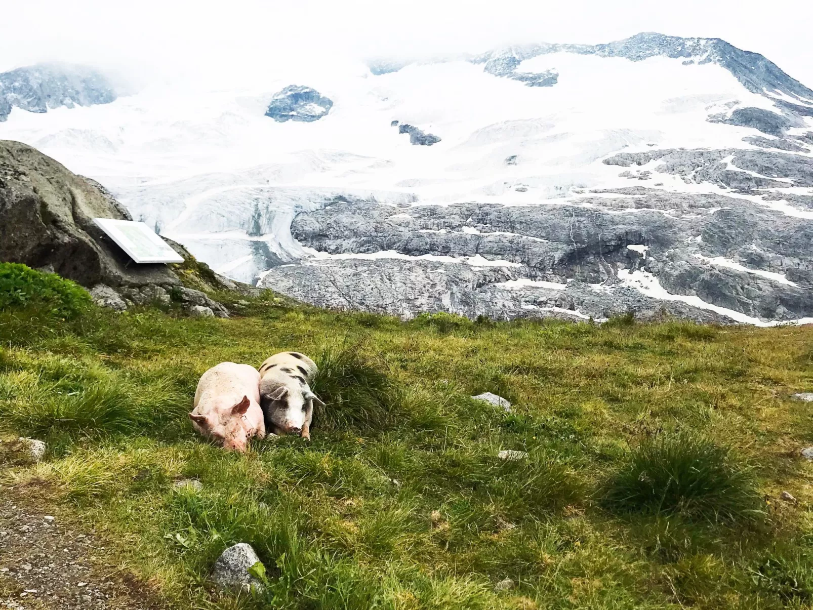 Felben - Image-tags.info