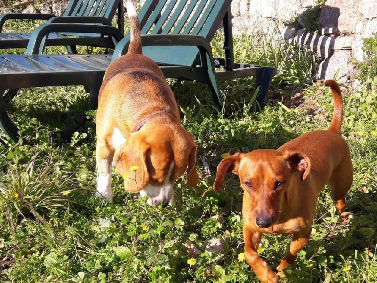 Locations-06 - das haus von noelie 1. stock - Image-tags.info