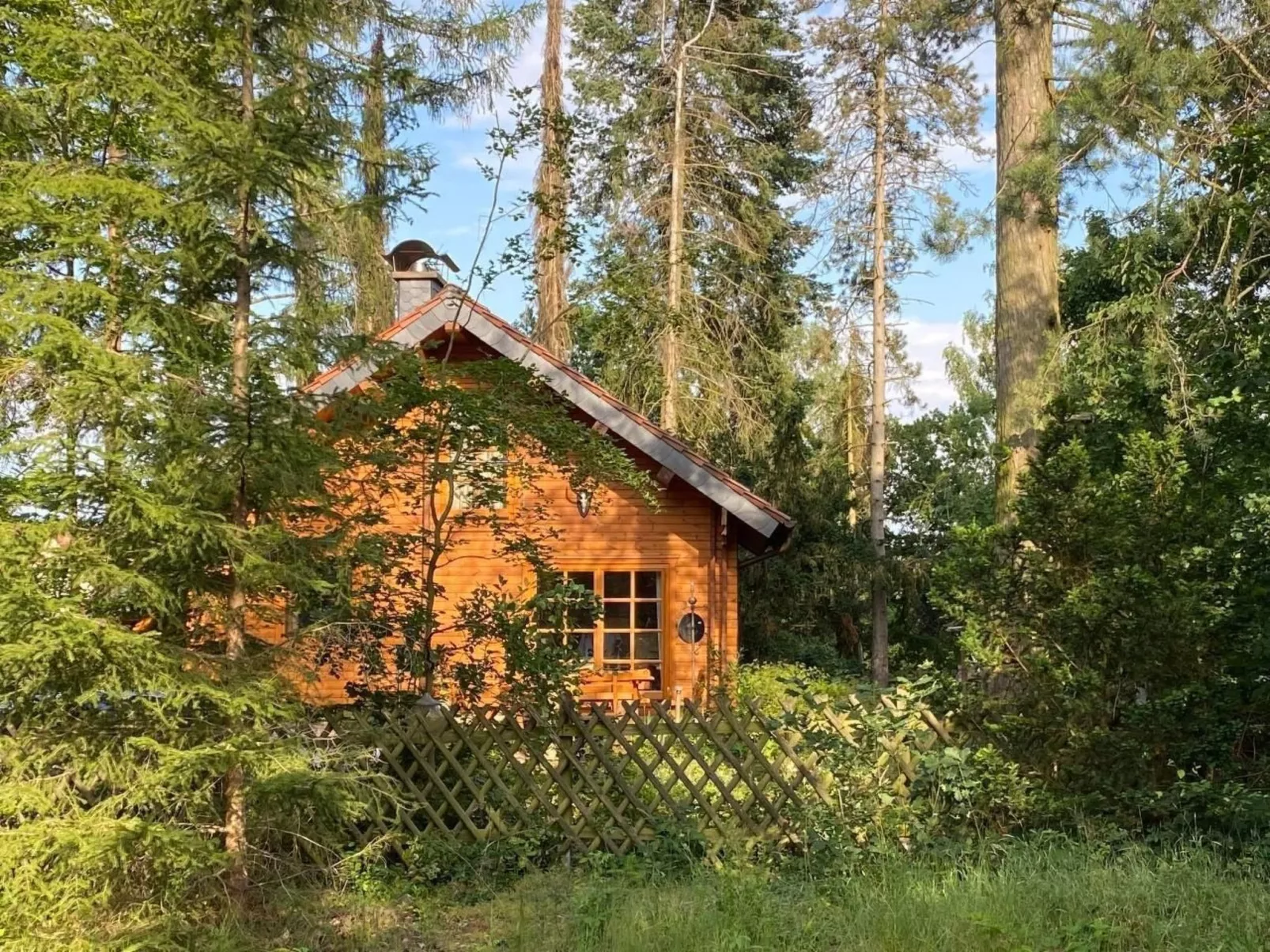 WaldhausEichhörnchen - Image-tags.info