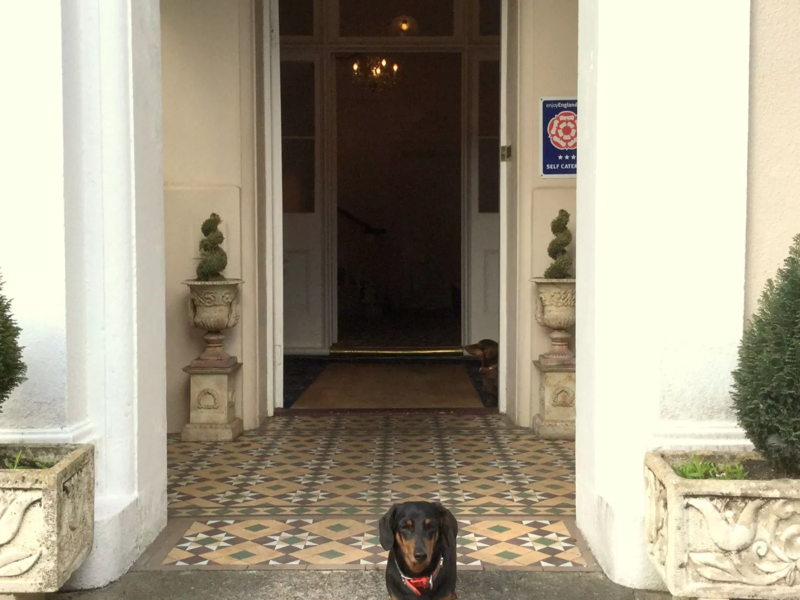 Appartement in Torquay mit Terrasse und Garten - Image-tags.info