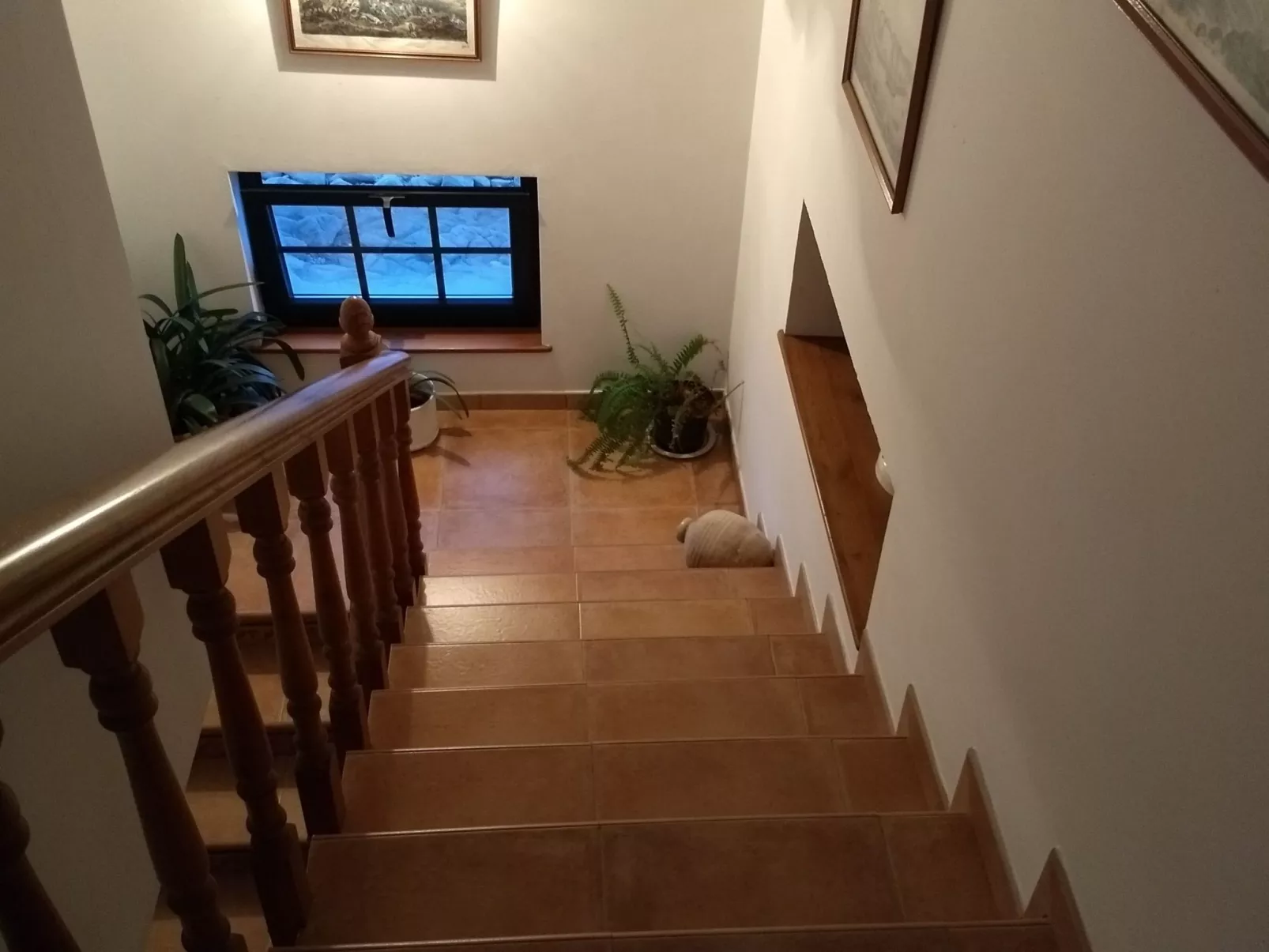 Almacen Wohnung - Image-tags.info