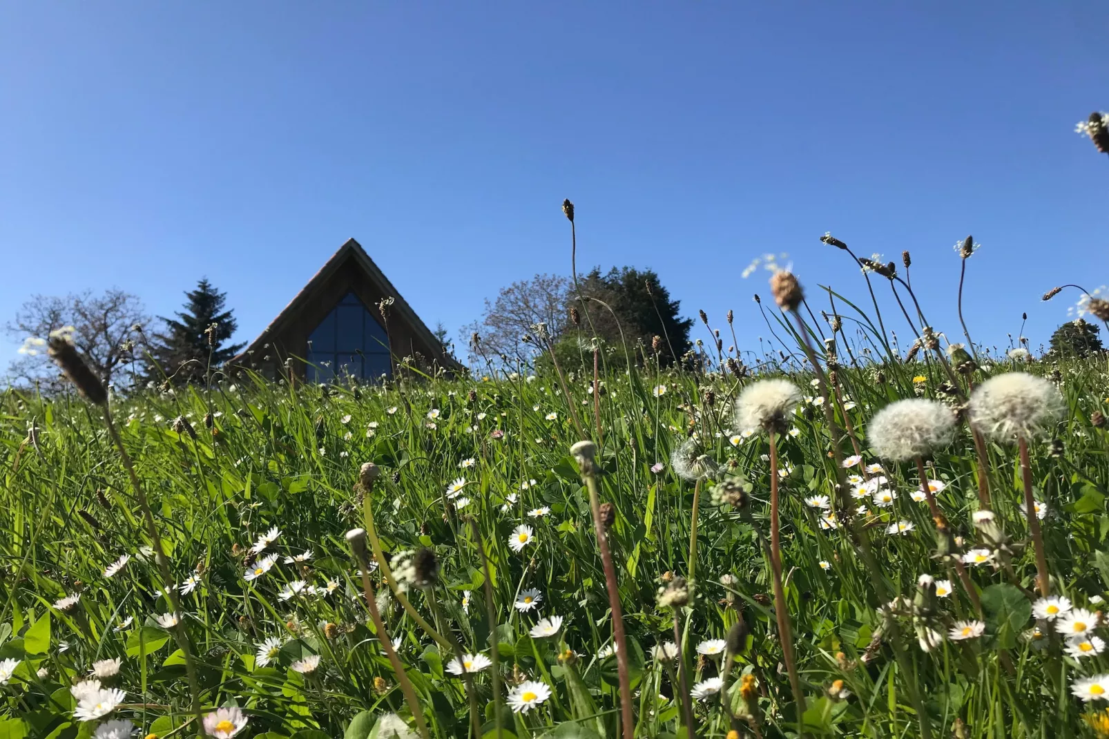 The Grange - Tuinen zomer