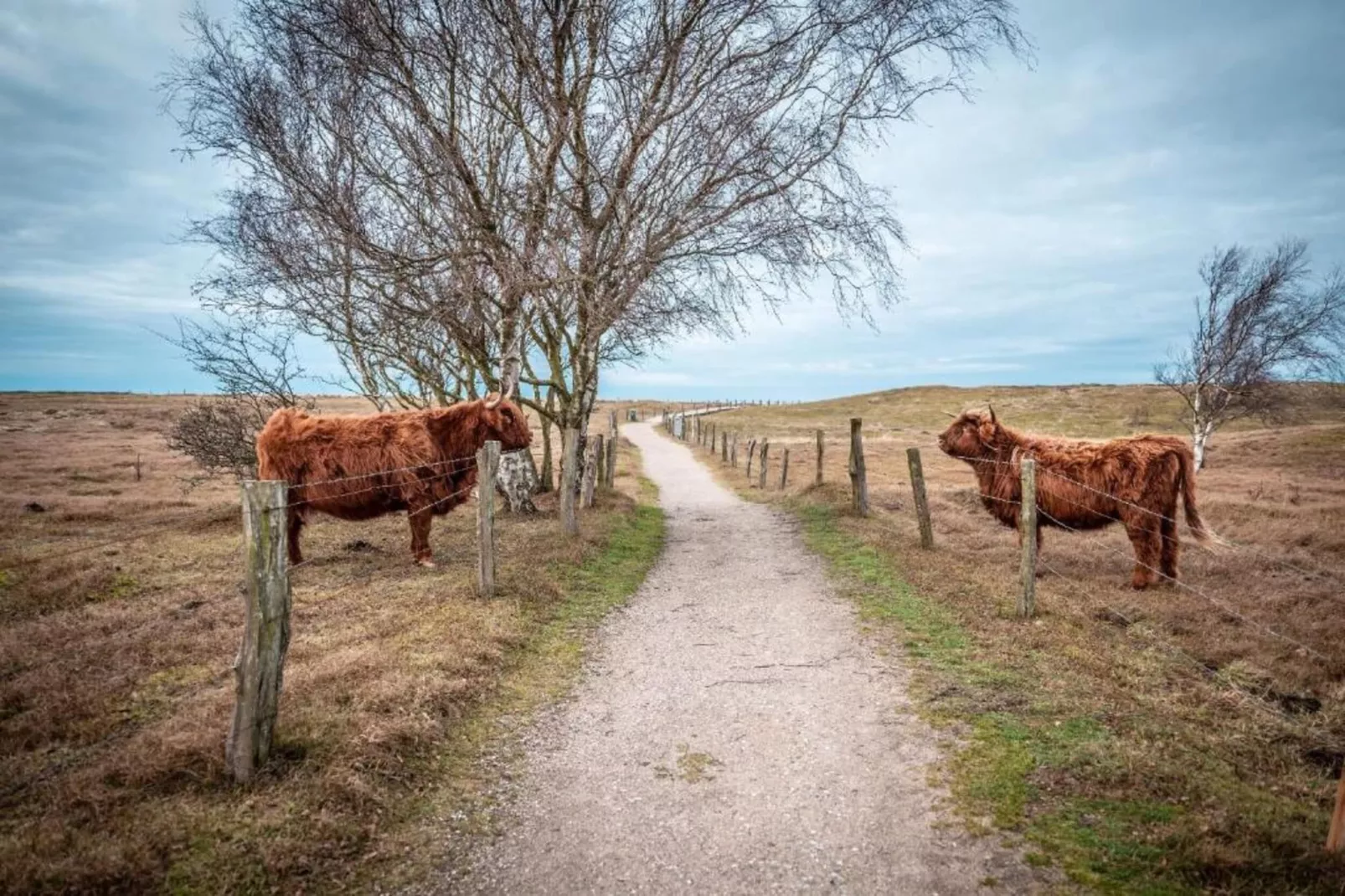 Ferienwohnung Eva mit Meerblick - strandnah - Gebieden zomer 20km