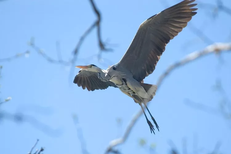 Apartments Rekowo 30 qm - Gebieden zomer 1km