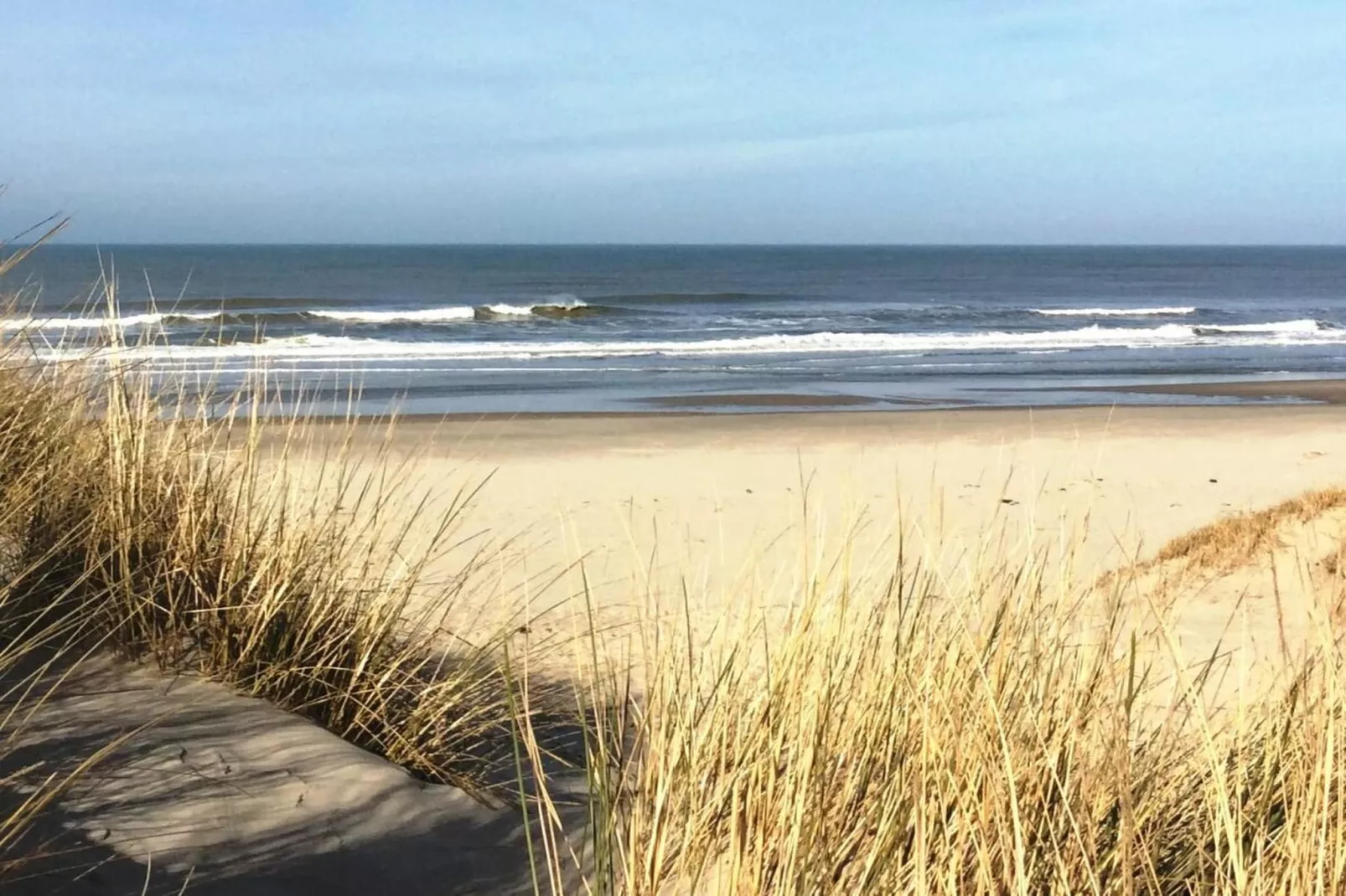 321929-Gebieden zomer 5km