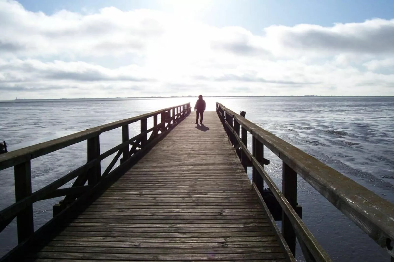 9376-Gebieden zomer 1km