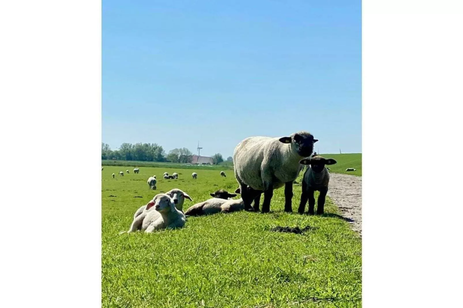 165895 - Gebieden zomer 5km