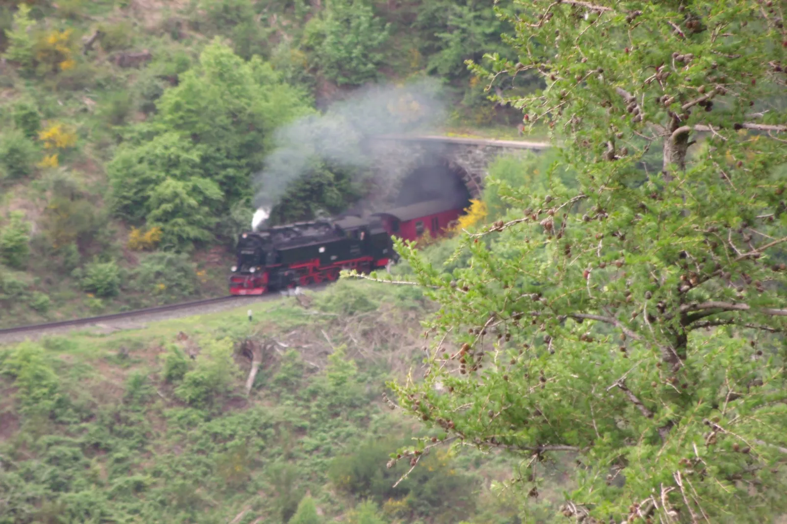Ferienhaus Rosi-Gebieden zomer 20km