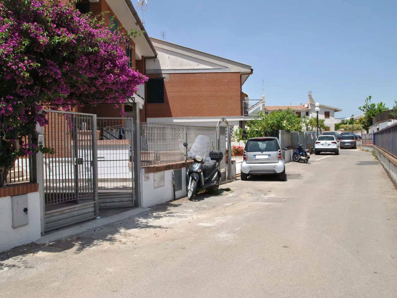 Bouganville - Buiten