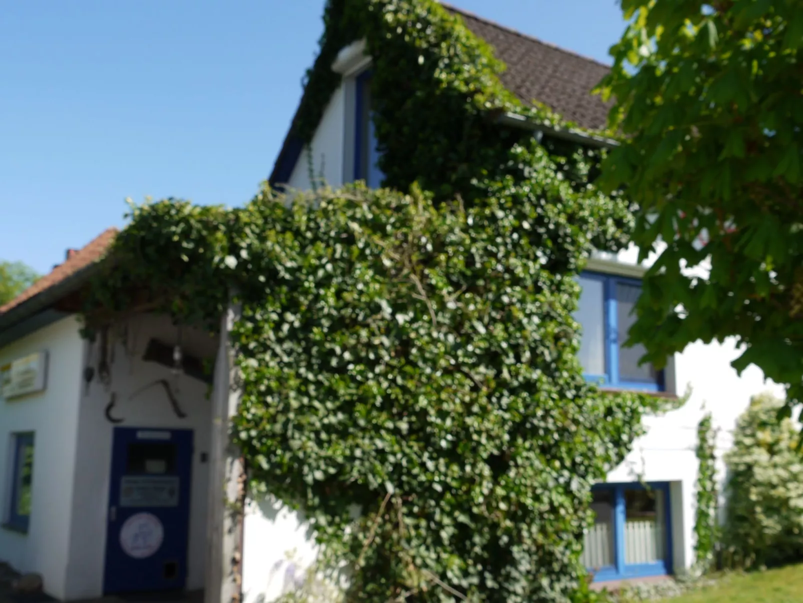 Elbufer - Image-tags.info