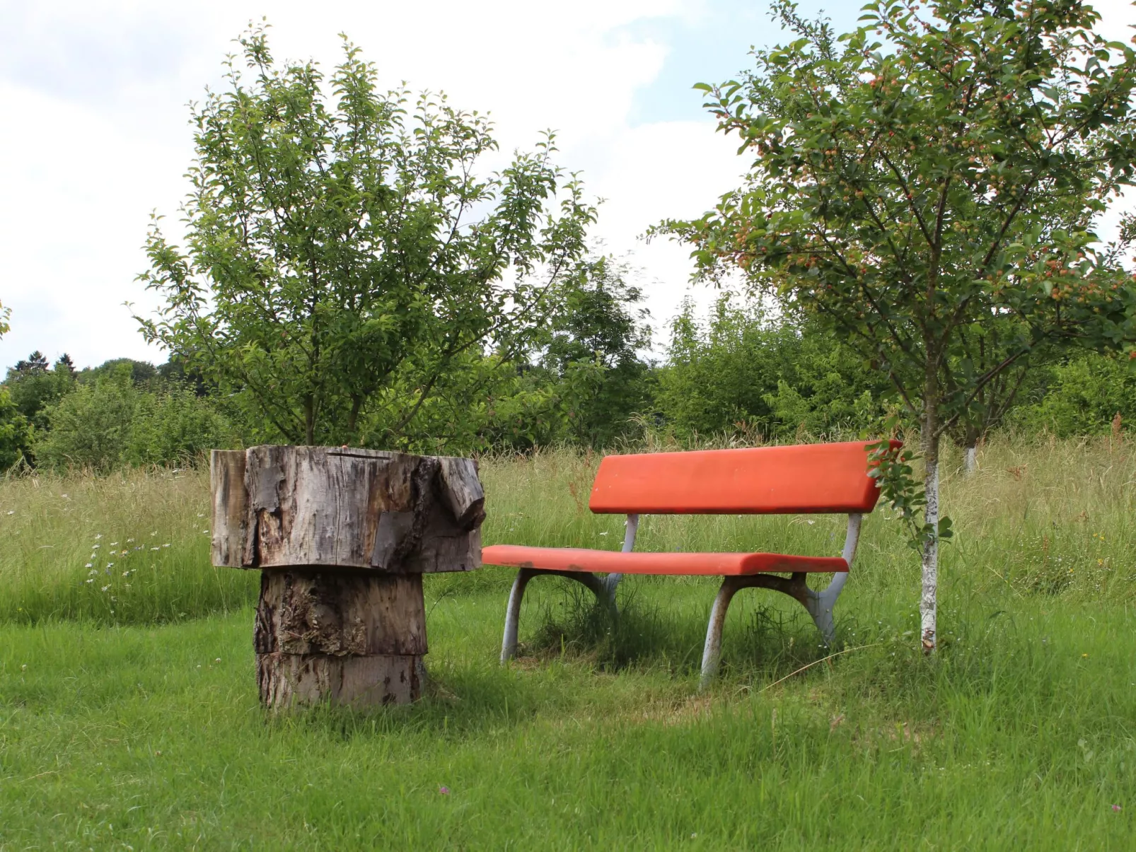 Almyssen - Image-tags.info