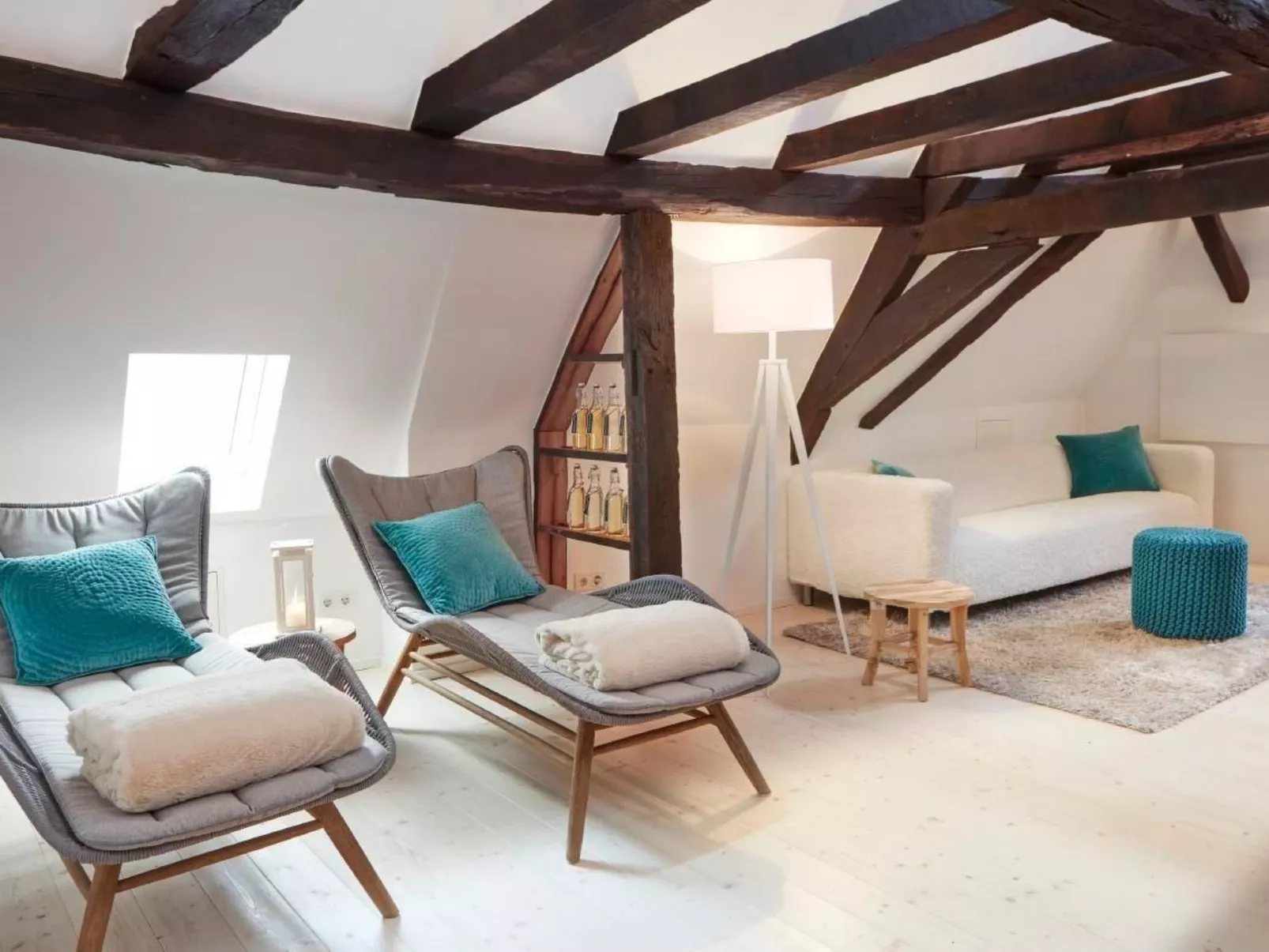 Olive Tree - Image-tags.info