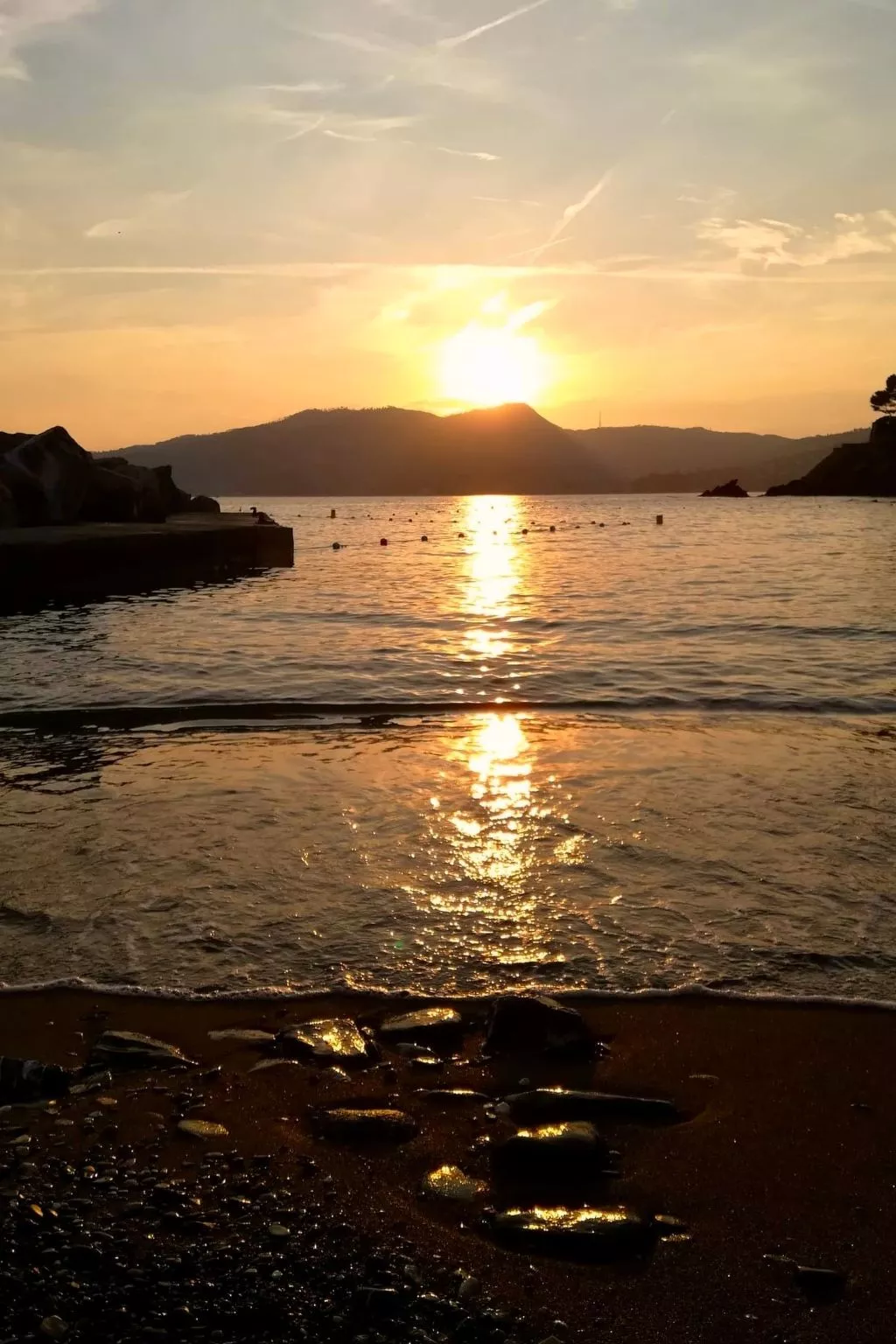 Pitosforo - Image-tags.info