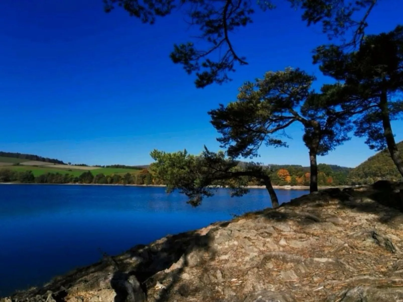 Diemelseeholiday Ferienwohnung im Sauerland - Image-tags.info