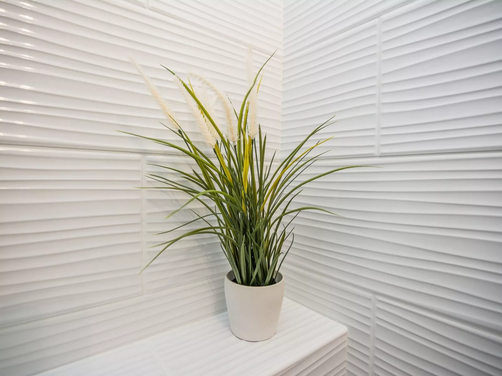 Apartment Kosic 4 - Image-tags.info