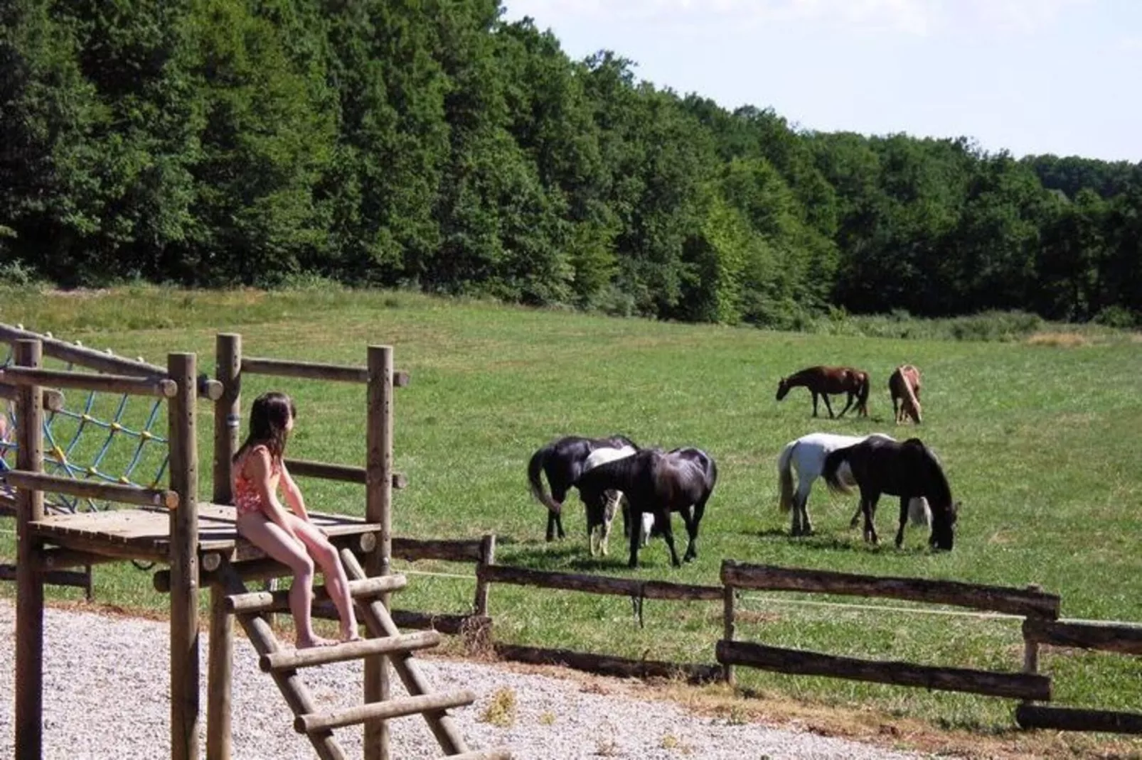 Domaine de Gavaudun - Villa Quercy-Gebieden zomer 1km