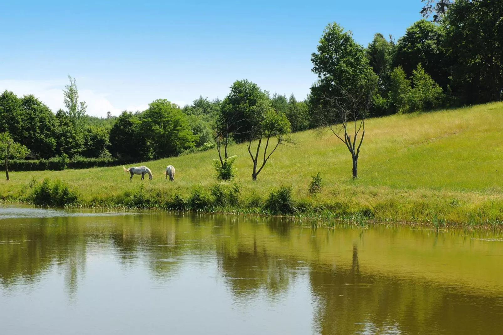 Holiday home Rekowo 120 qm - Uitzicht