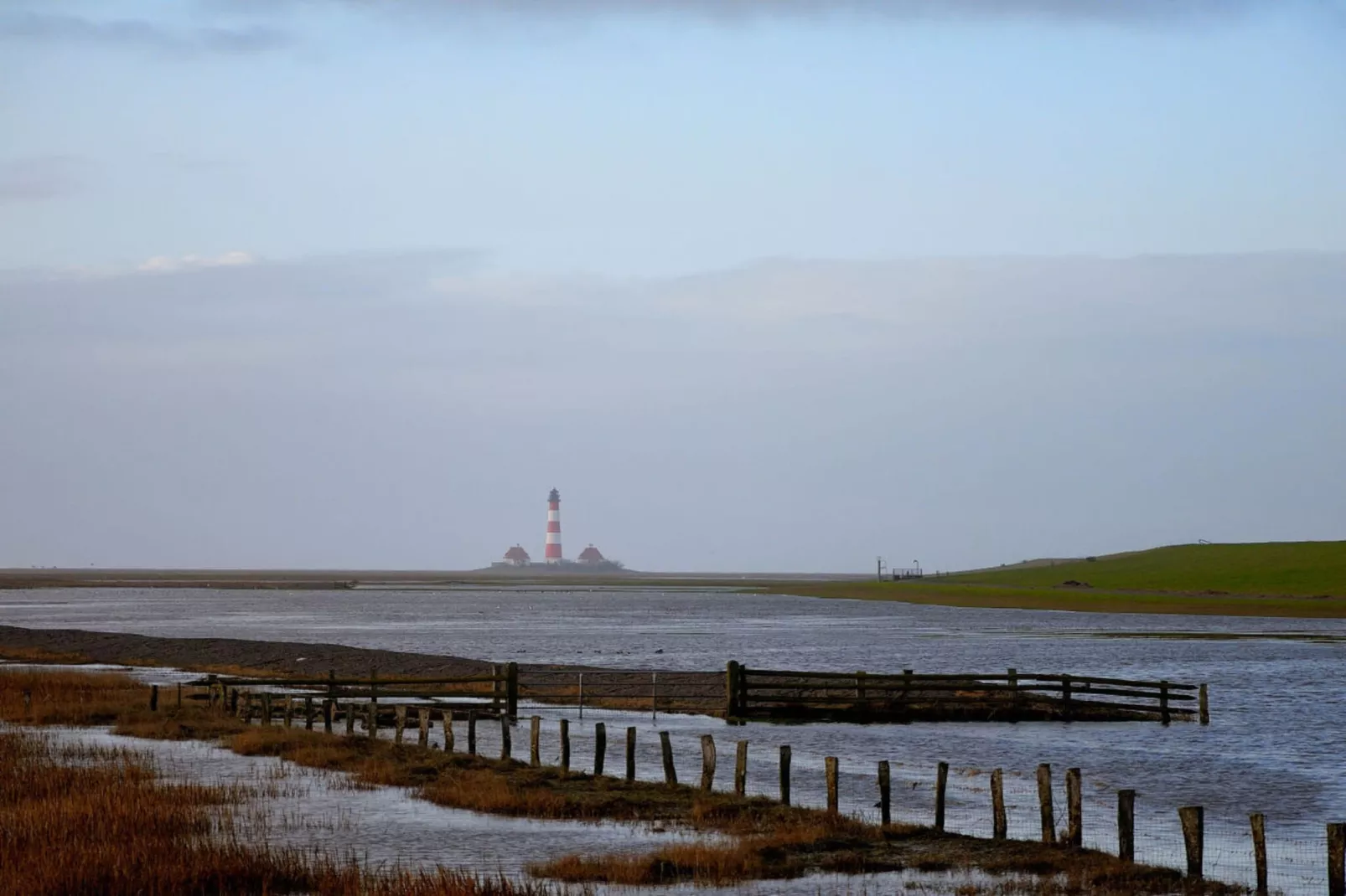 185172-Gebieden zomer 5km