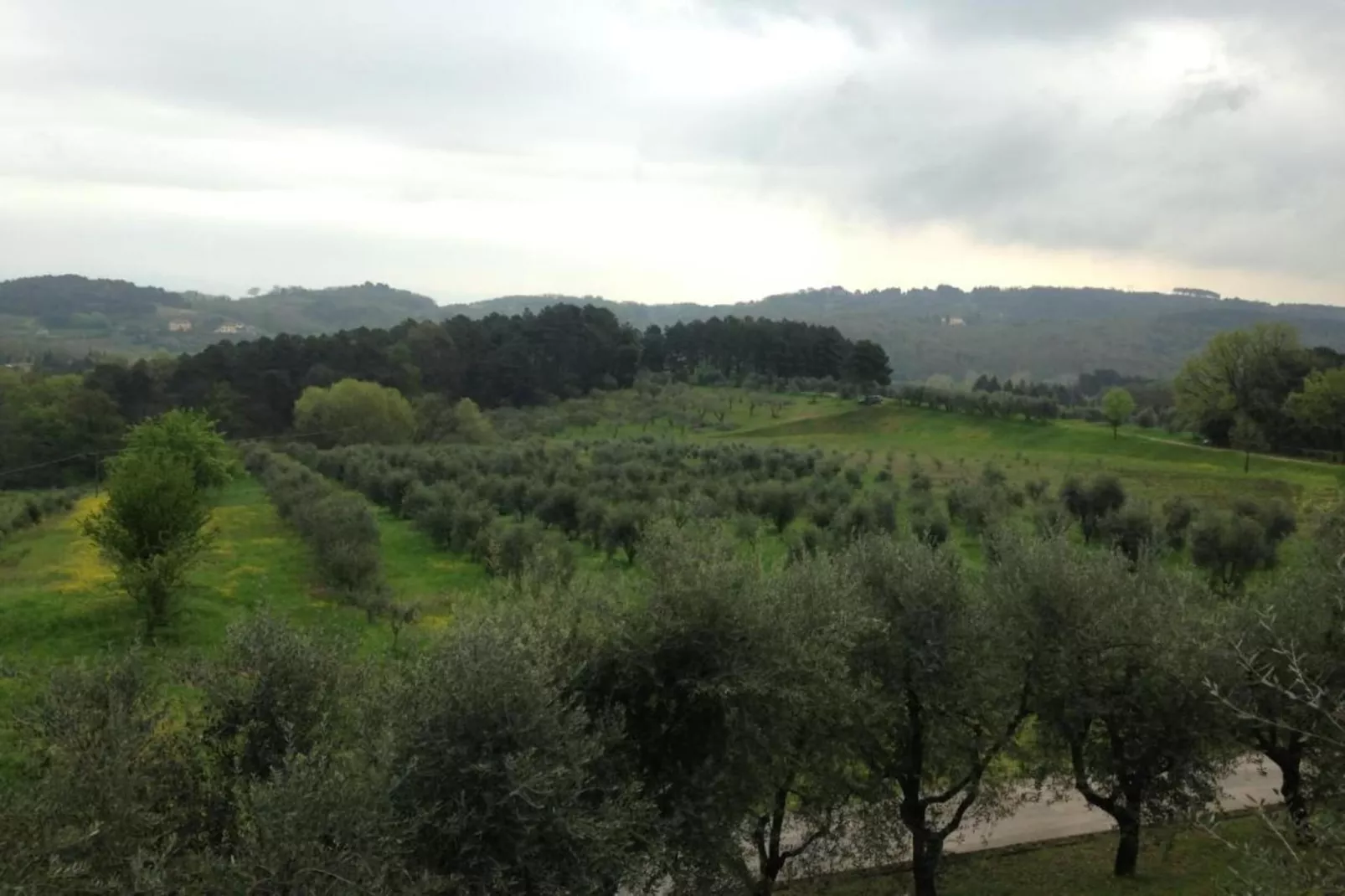 Aria di Lucca-Gebieden zomer 20km