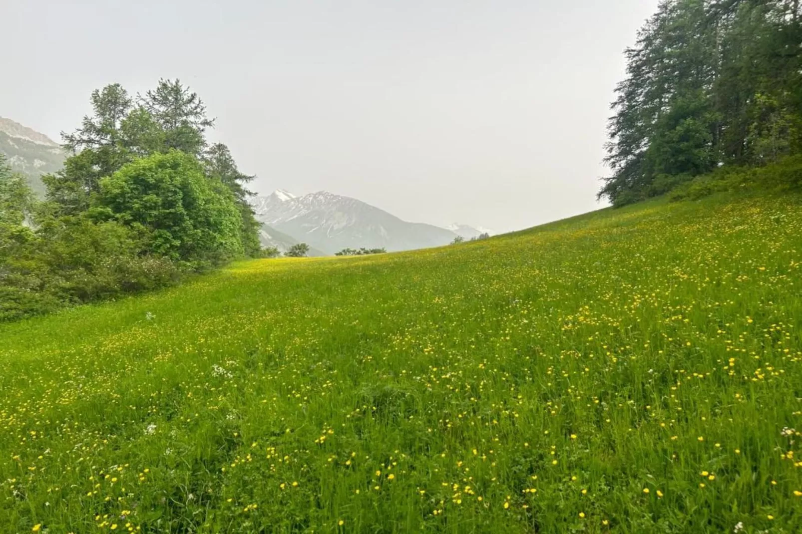 C. du Verdon N°3401 - 2P6 - Gebieden zomer 20km