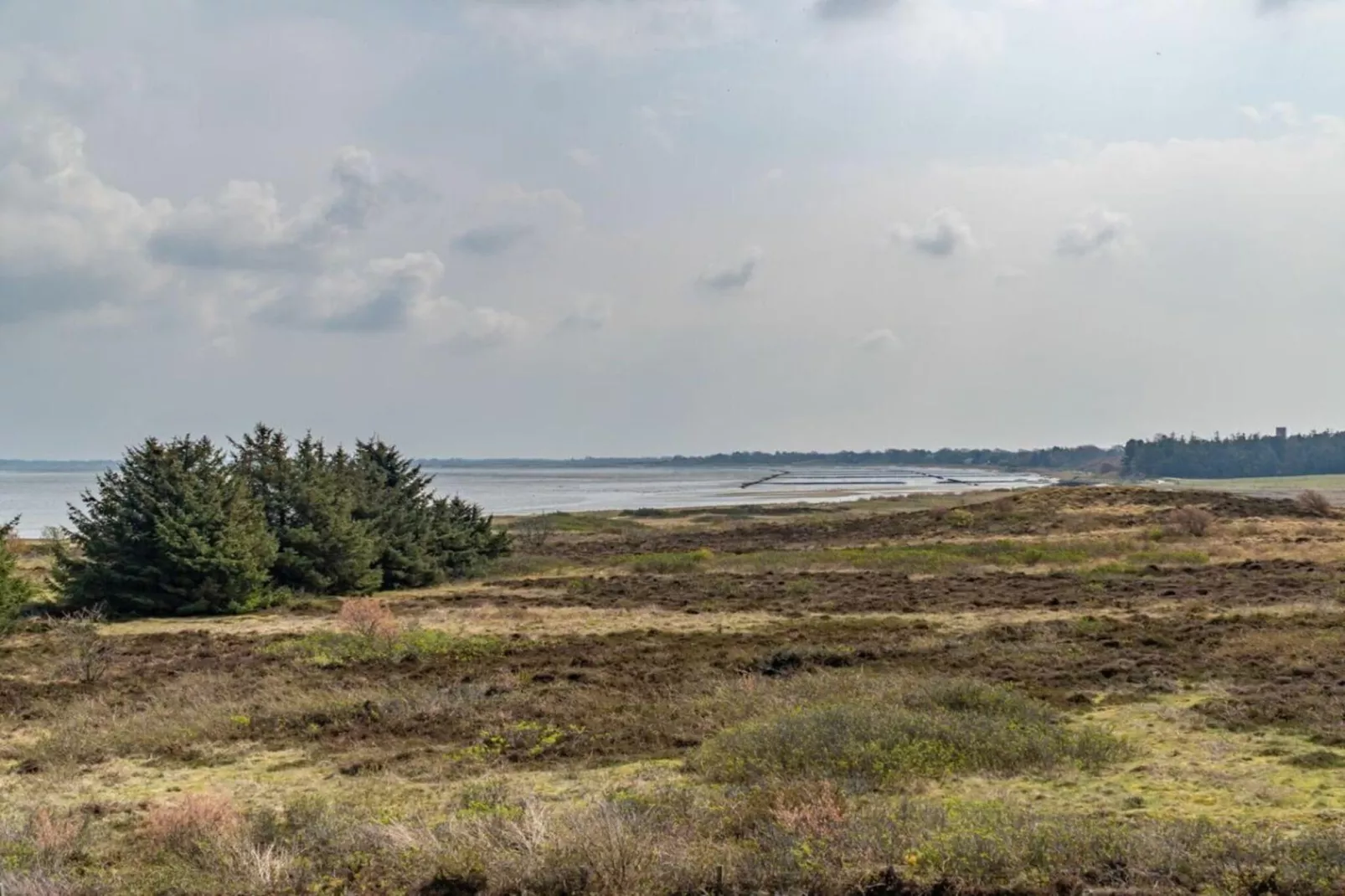 329926-Gebieden zomer 1km