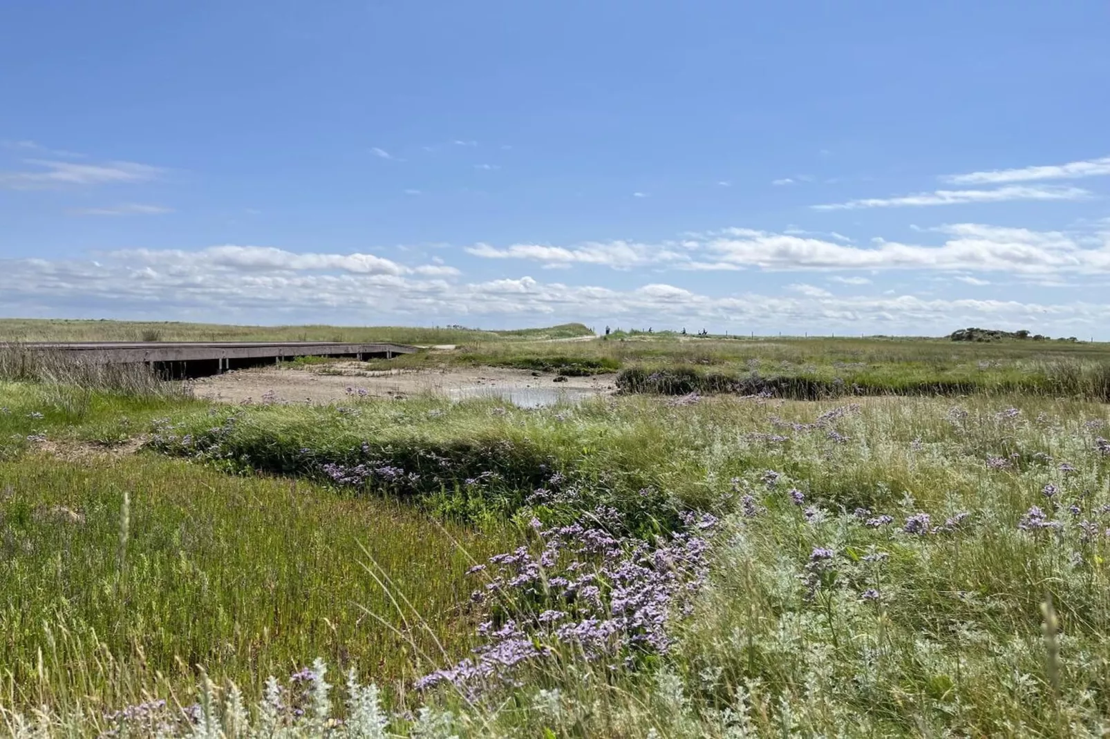 581070 - Gebieden zomer 5km