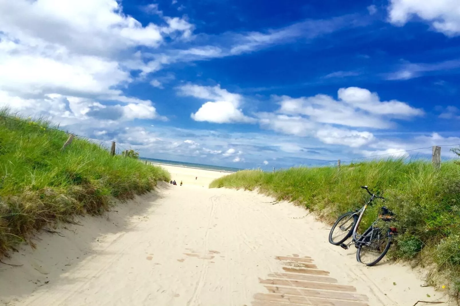 287711 - Gebieden zomer 5km