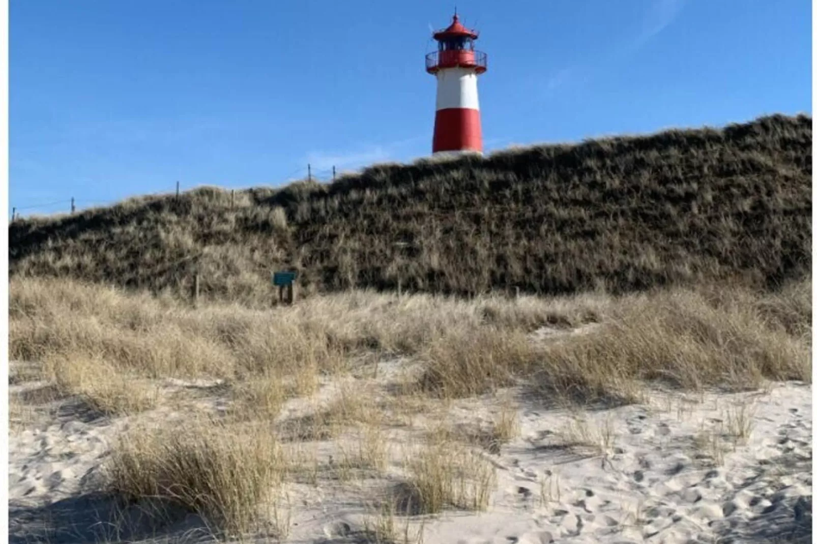 382416-Gebieden zomer 1km