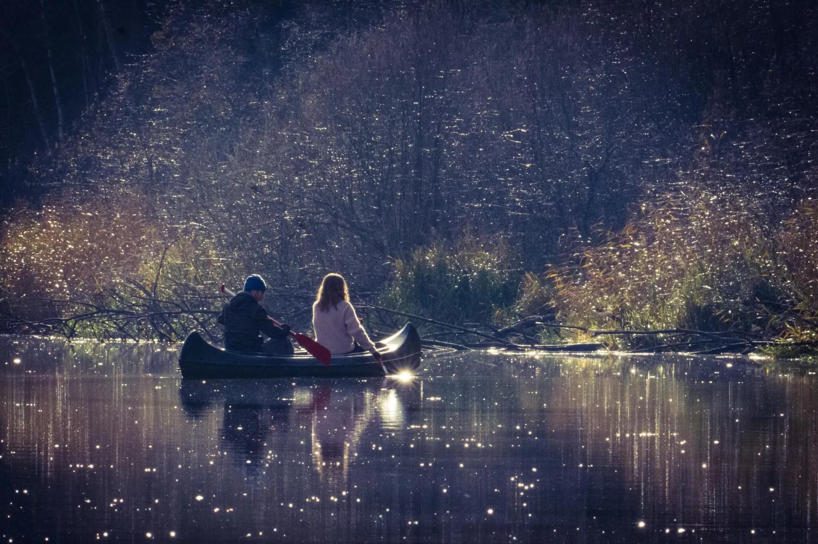 The Farm-Gebieden zomer 5km
