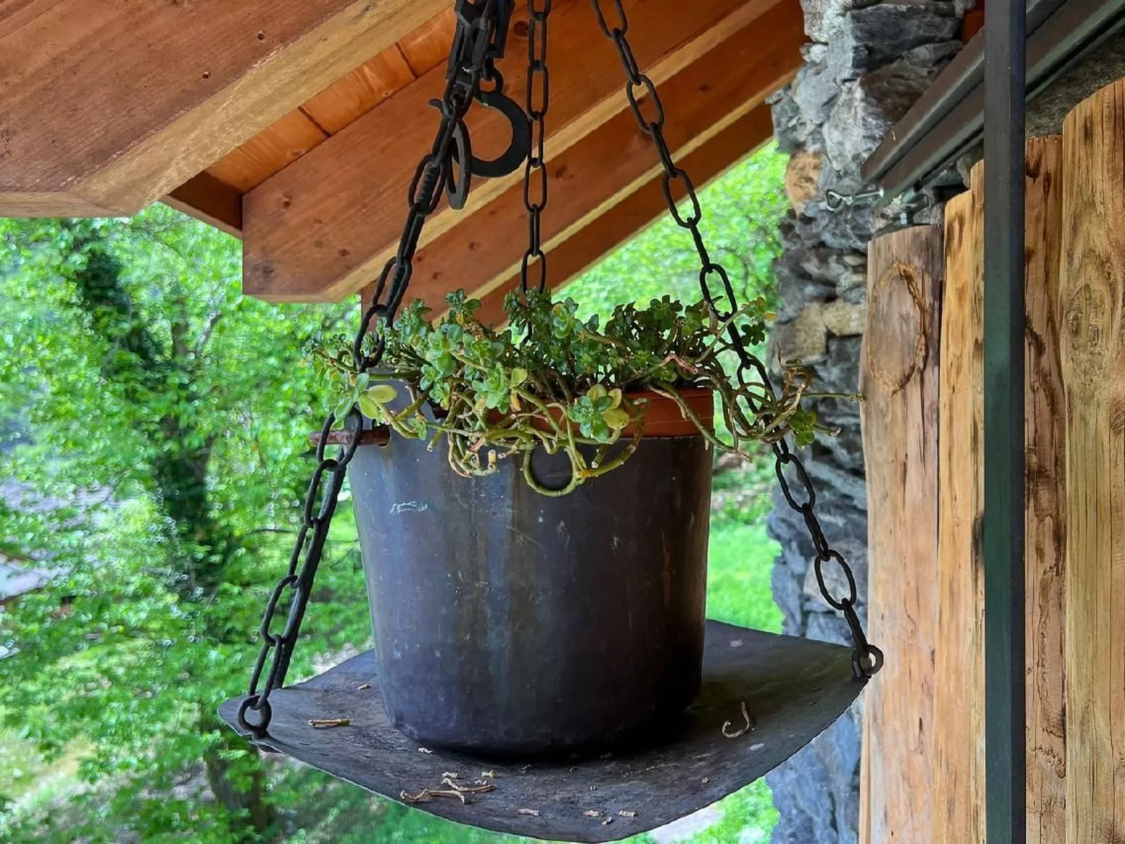 Rustico Nonno Milton - Image-tags.info