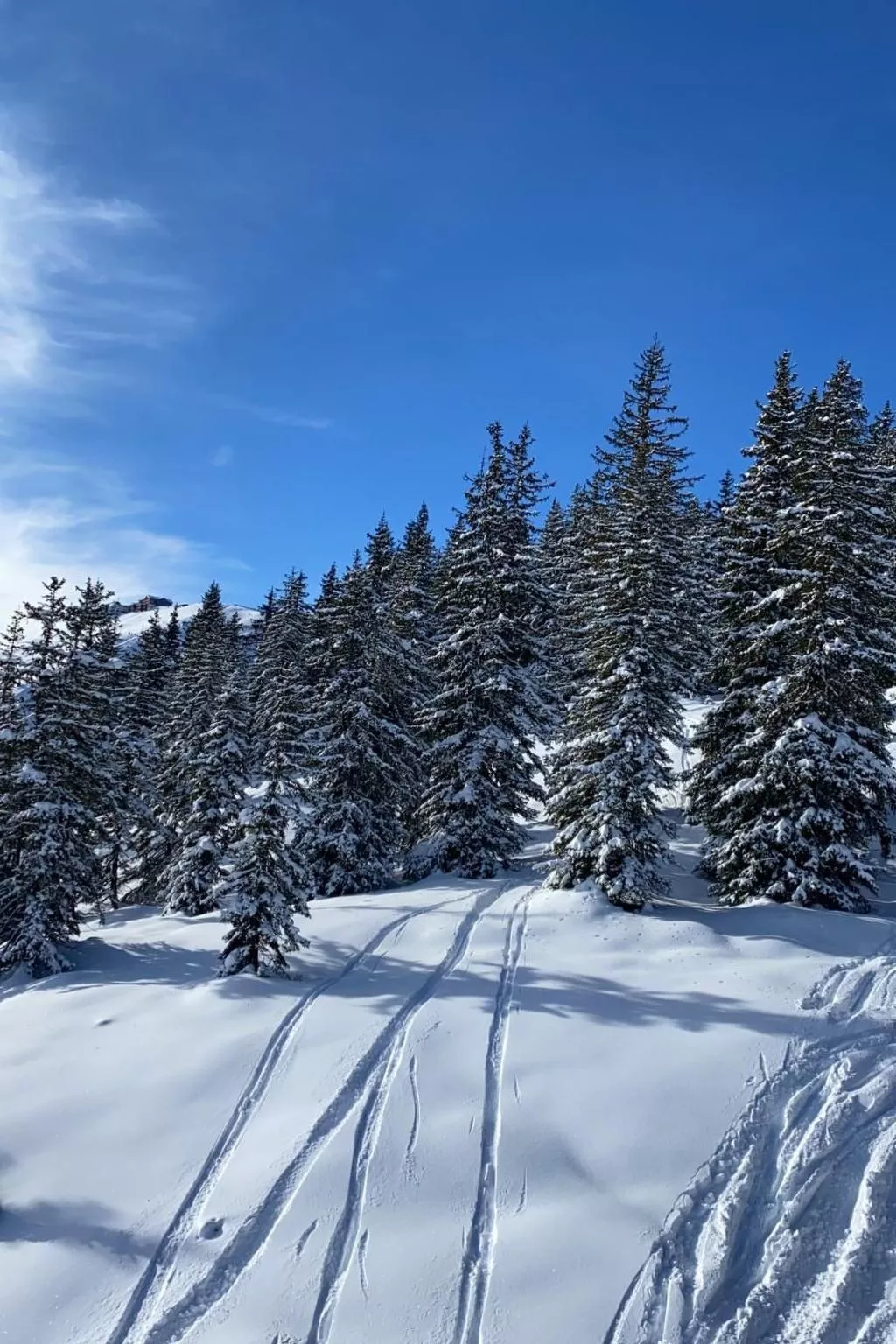 Alpinresort Kaprun top 2 - Image-tags.info