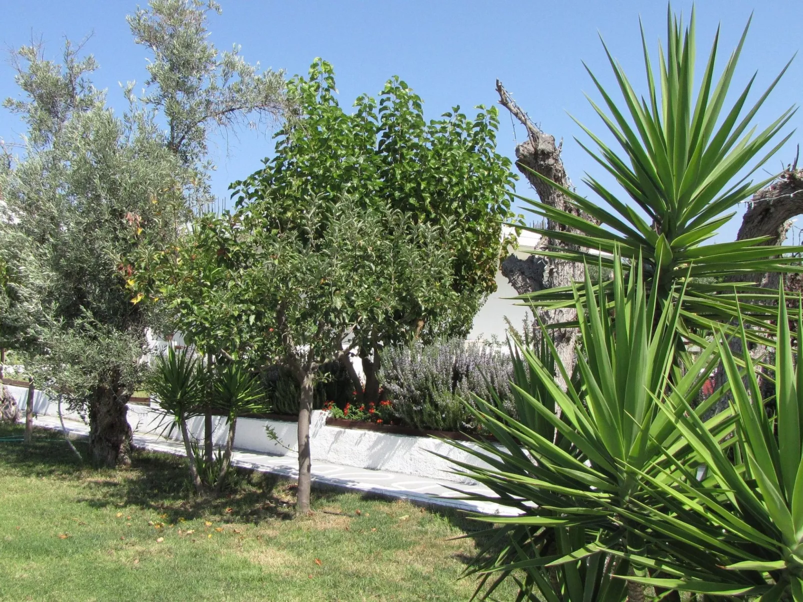 Skiathos Ferienhaus - Binnen