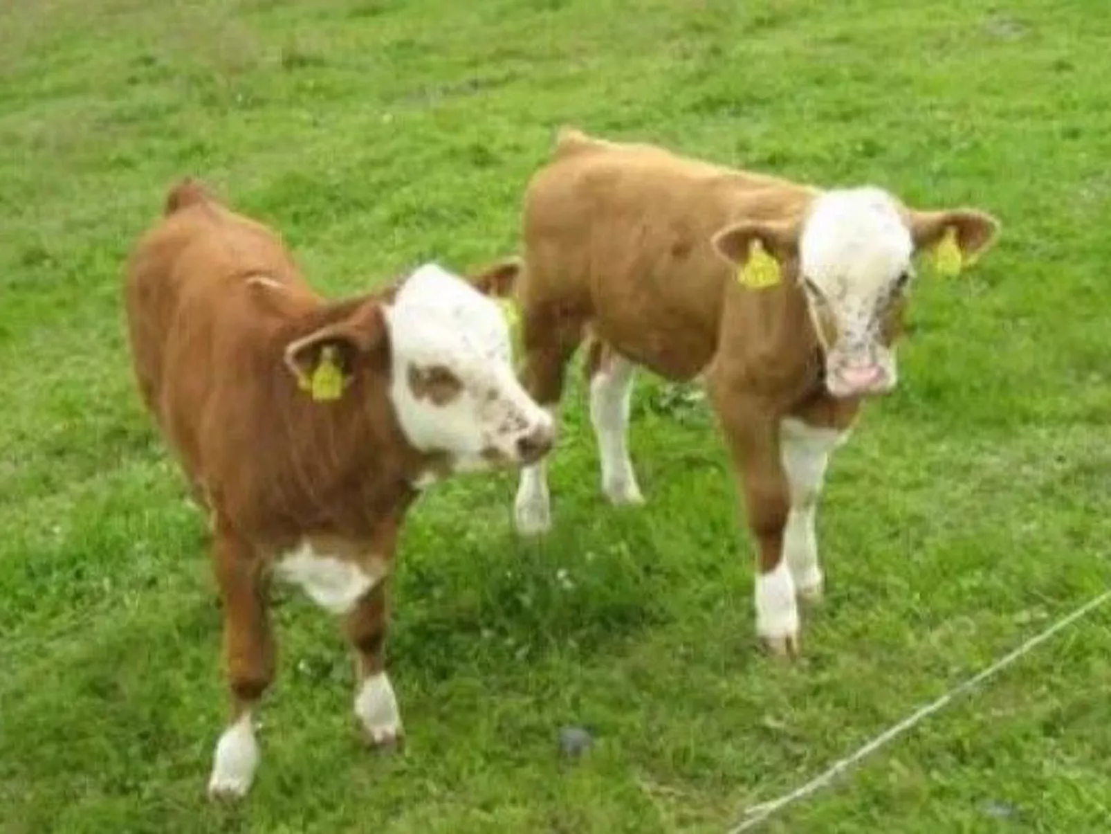 FH Panoramablick - Image-tags.info