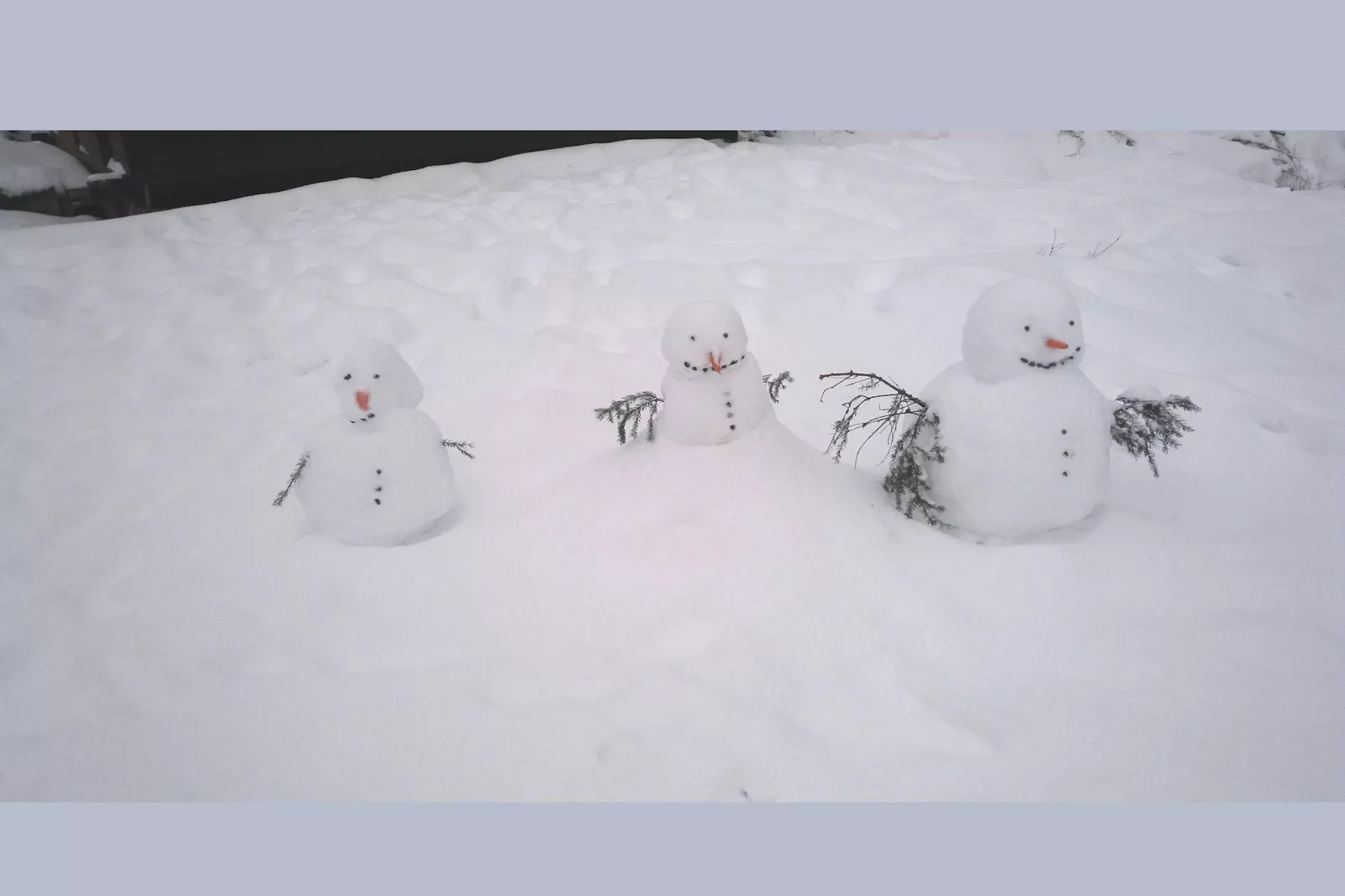 Murmeltier-Tuin winter