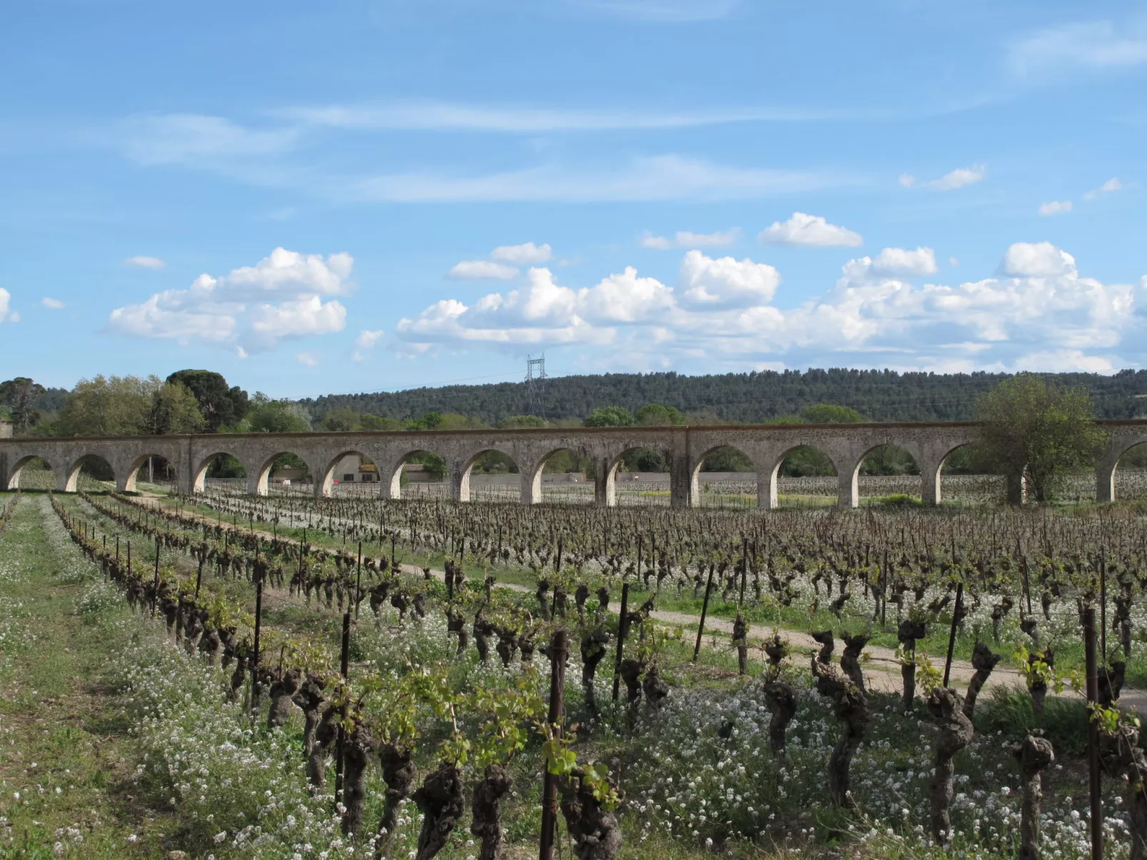 Port Minervois-Omgeving