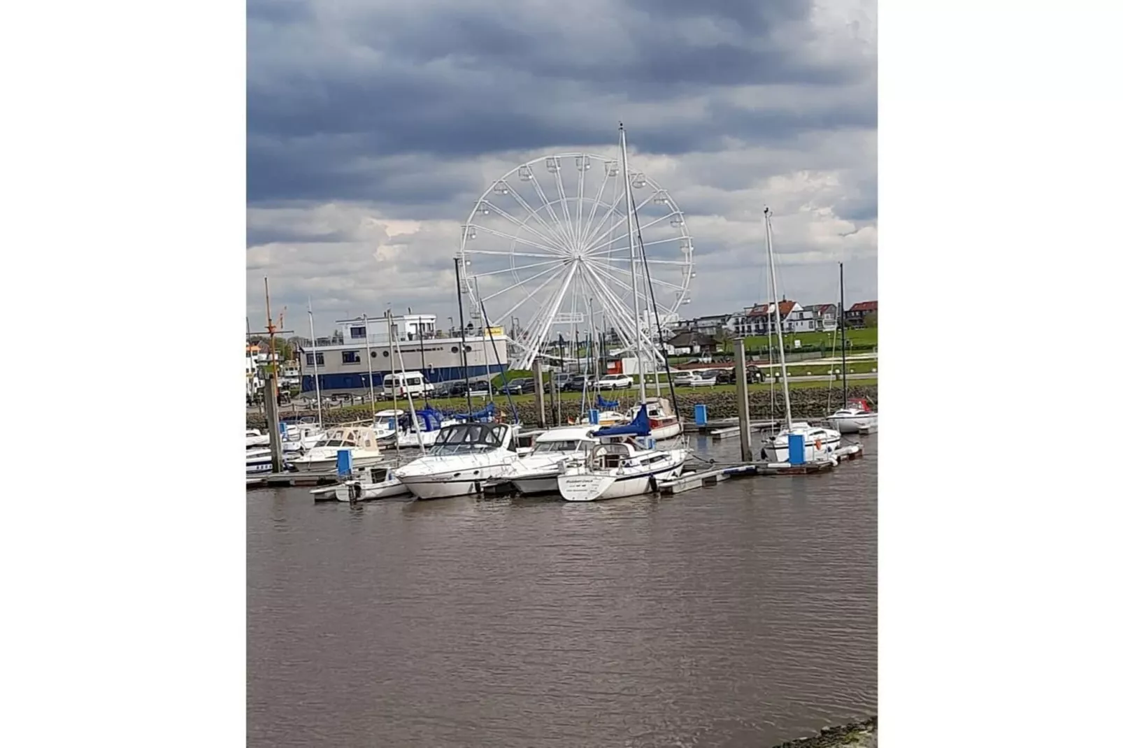 55576-Gebieden zomer 1km