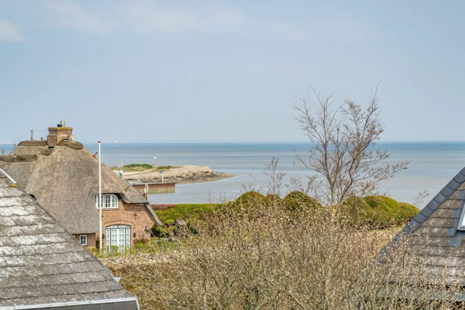 329926-Gebieden zomer 1km