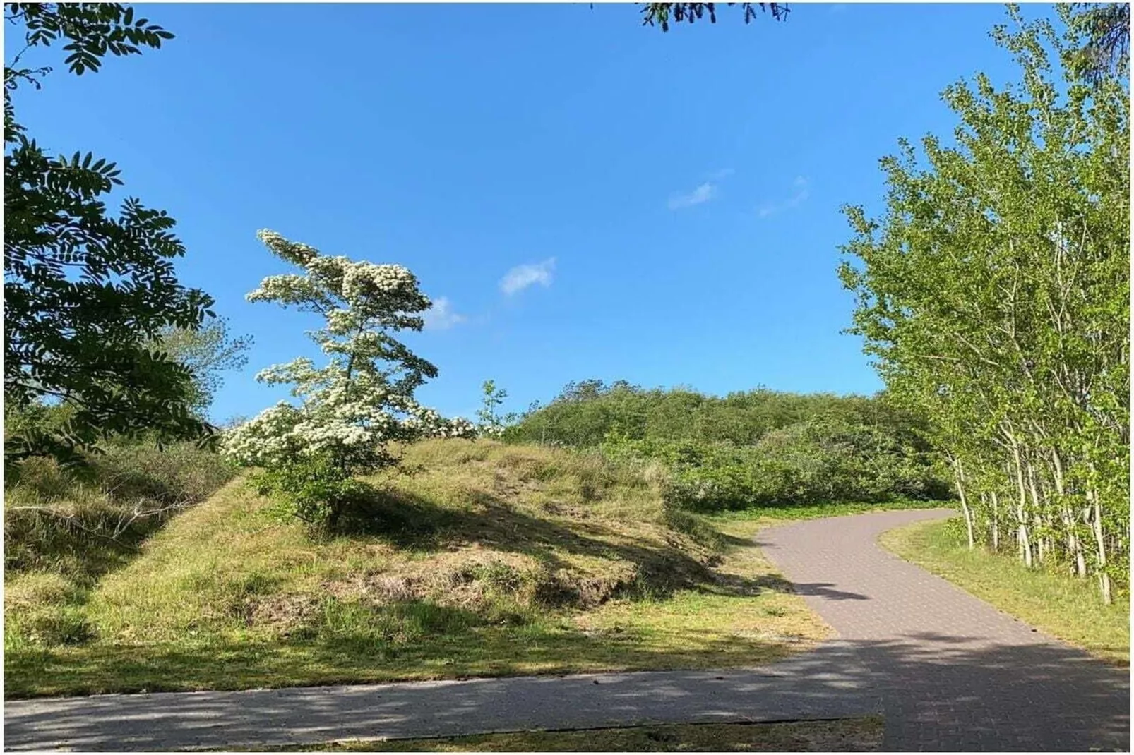 581070 - Gebieden zomer 5km